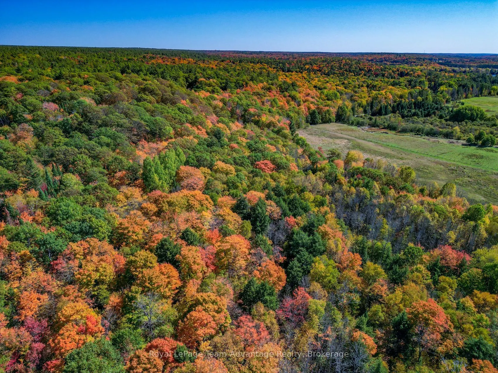 0 TURTLE LAKE Road