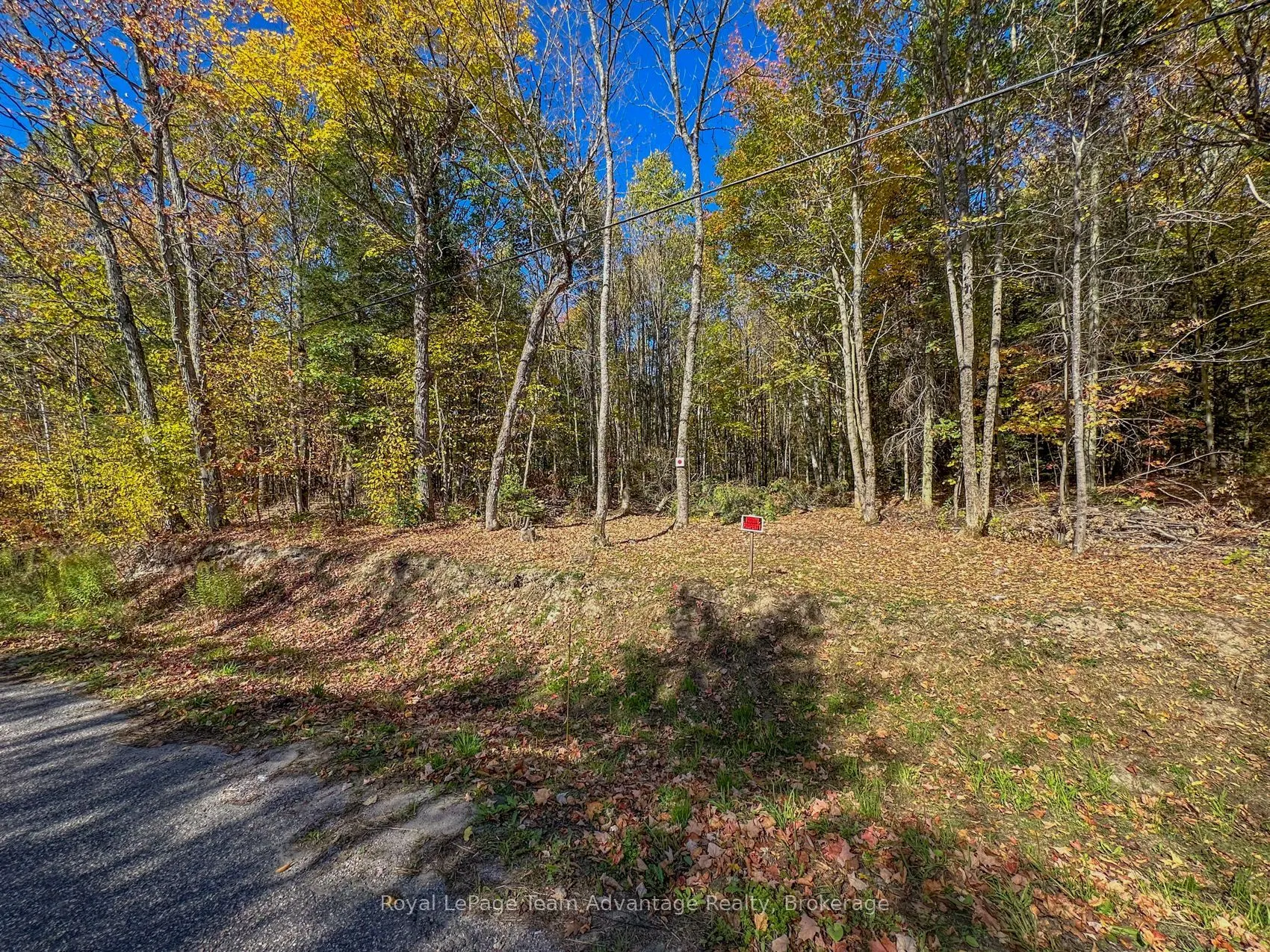 0 TURTLE LAKE Road