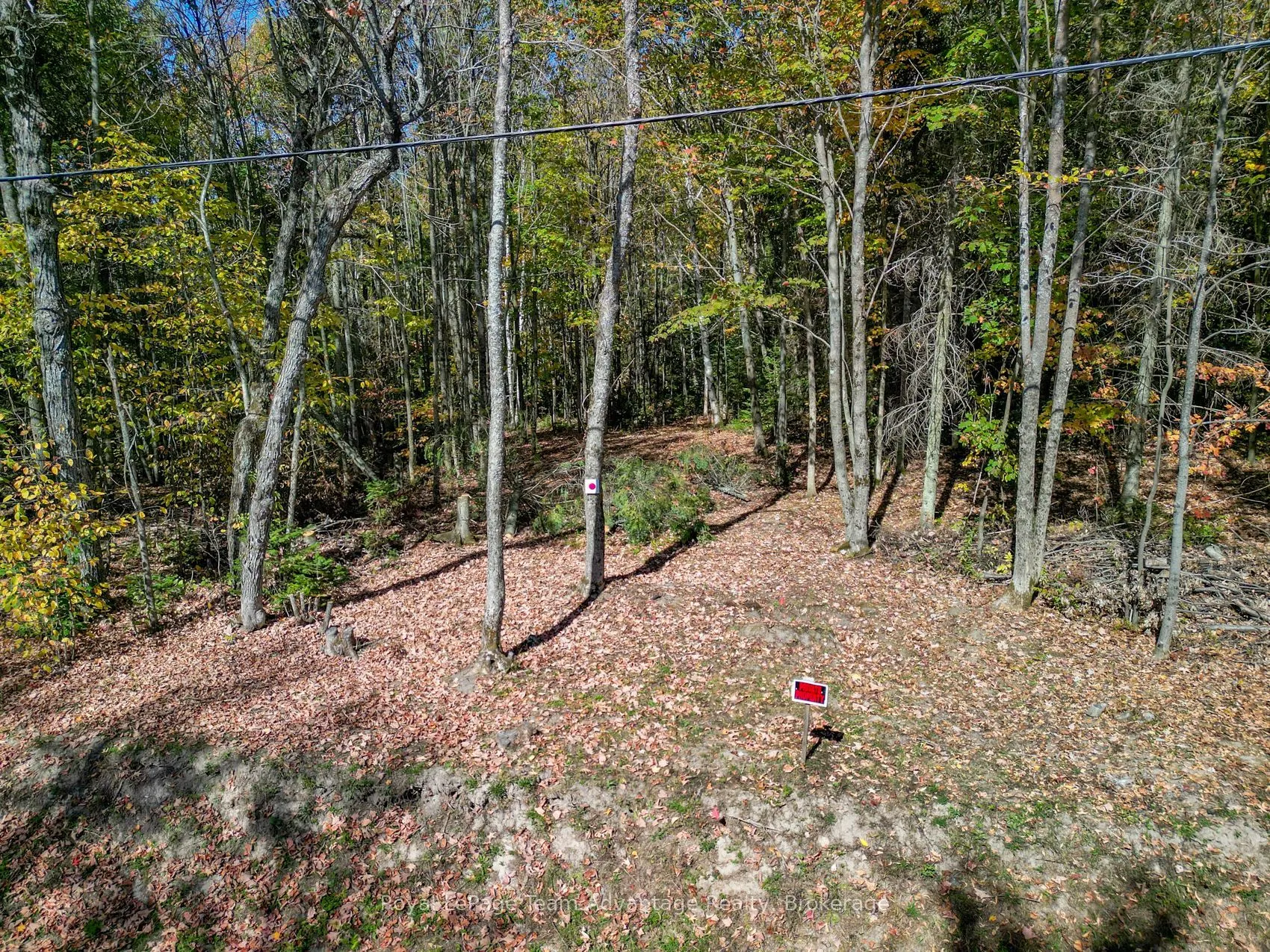 0 TURTLE LAKE Road