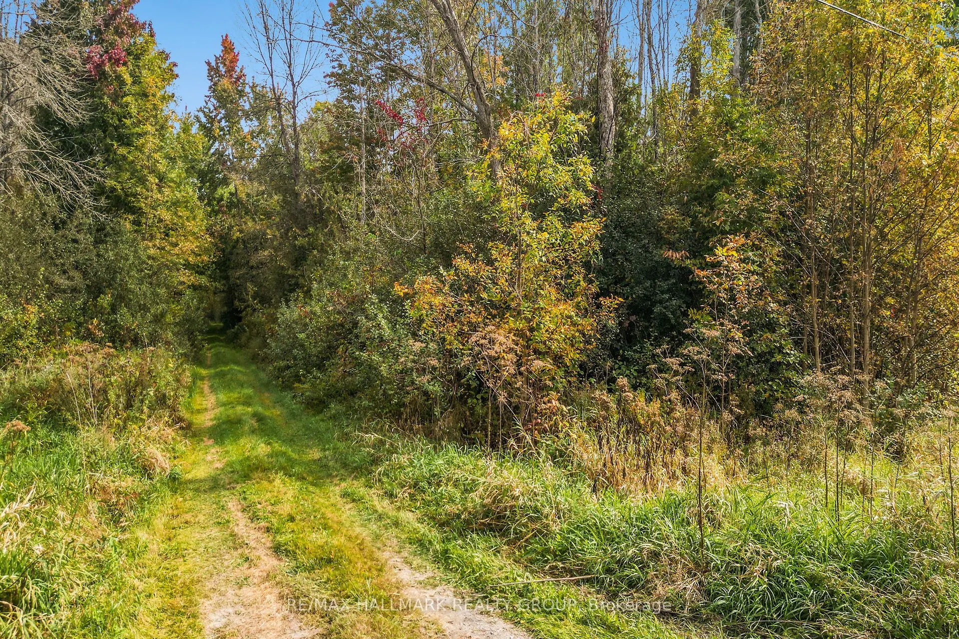00 Gillies Corners Side Road