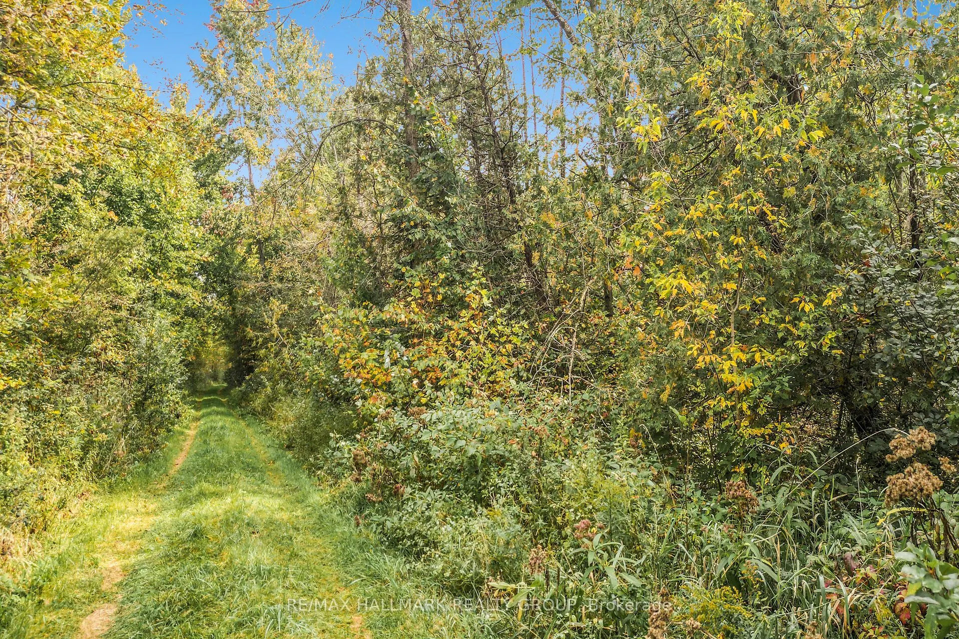 00 Gillies Corners Side Road