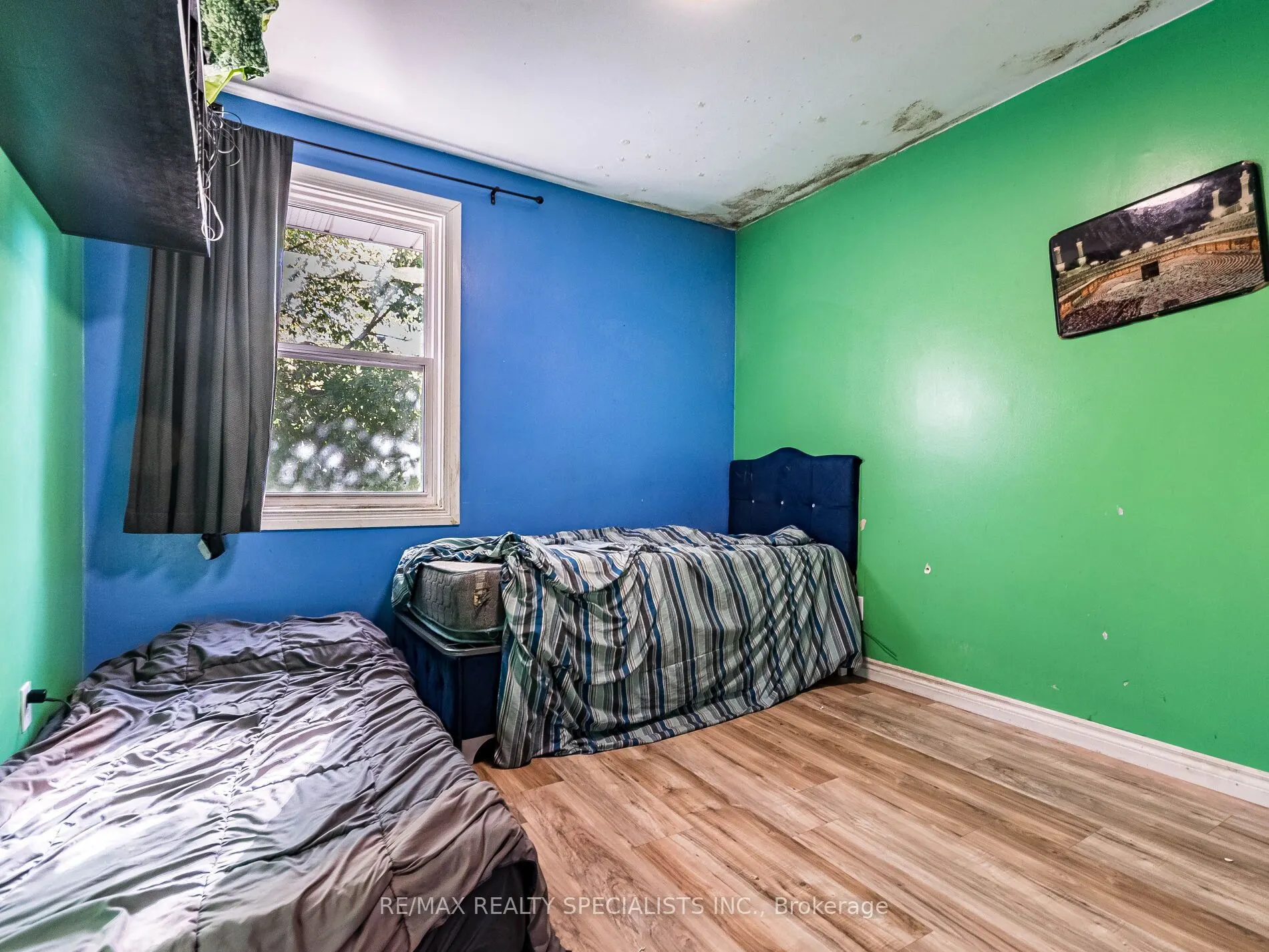 6 Endfield Avenue