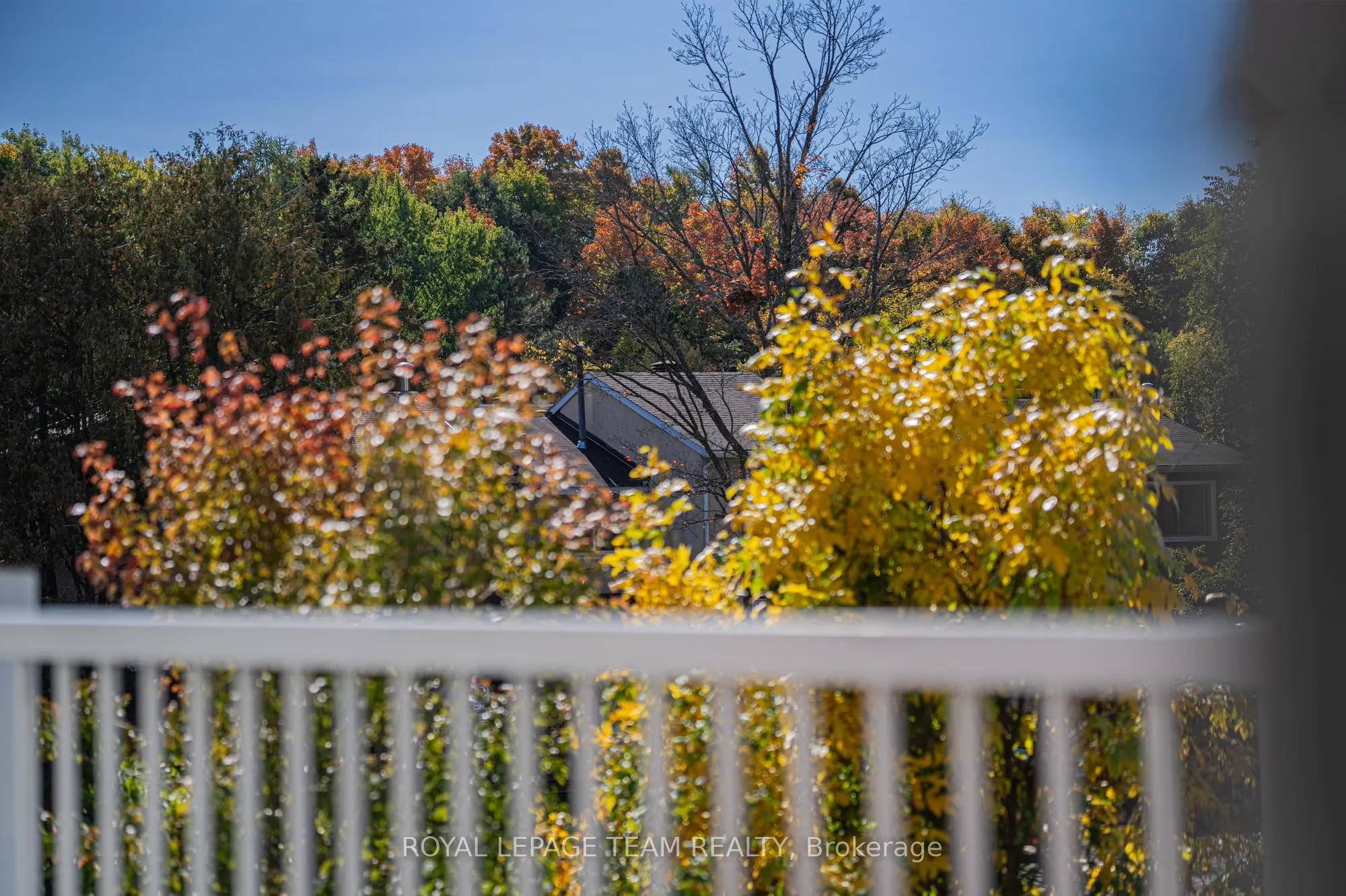 1650 Locksley Lane, #5