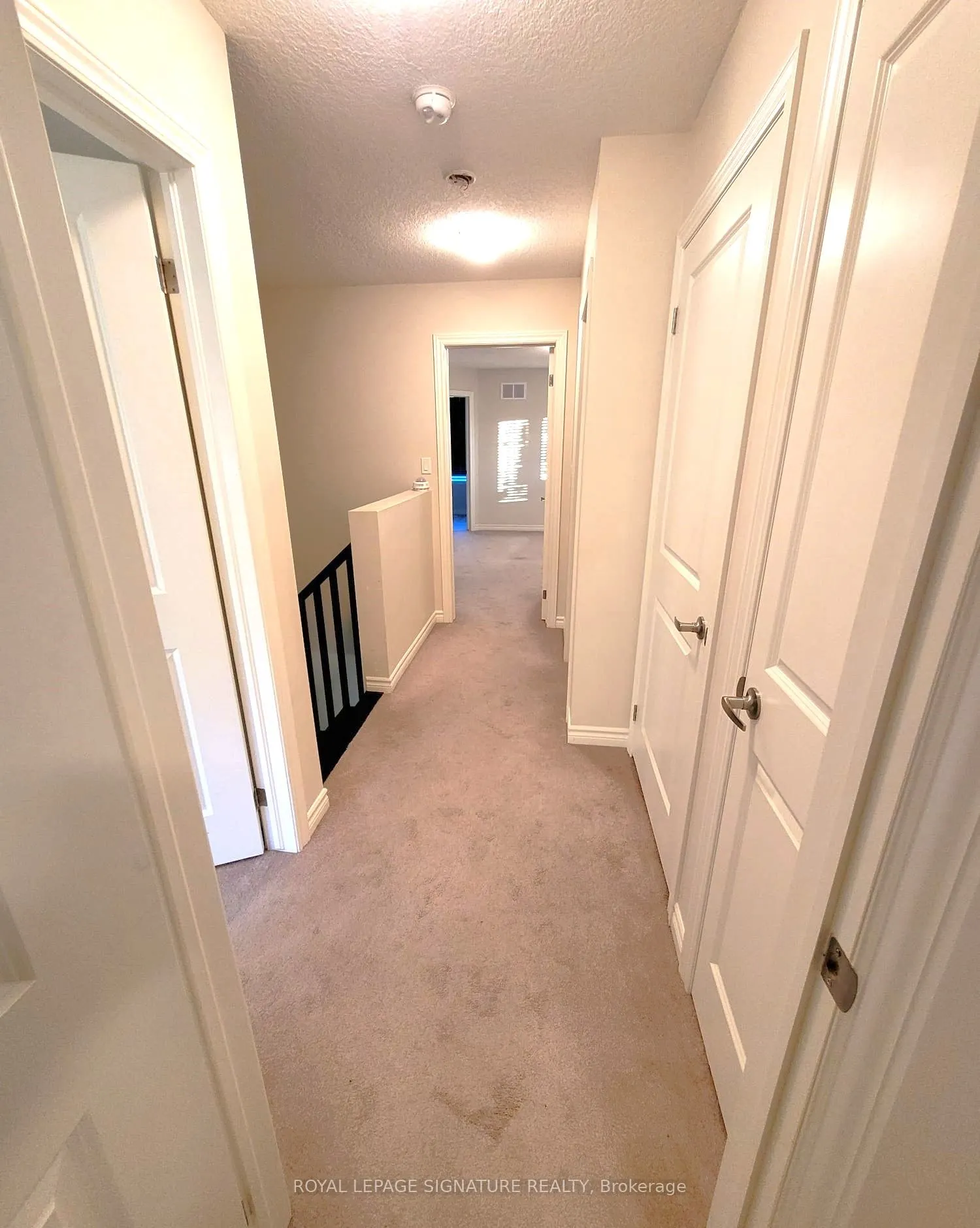 78 Pettitt Drive