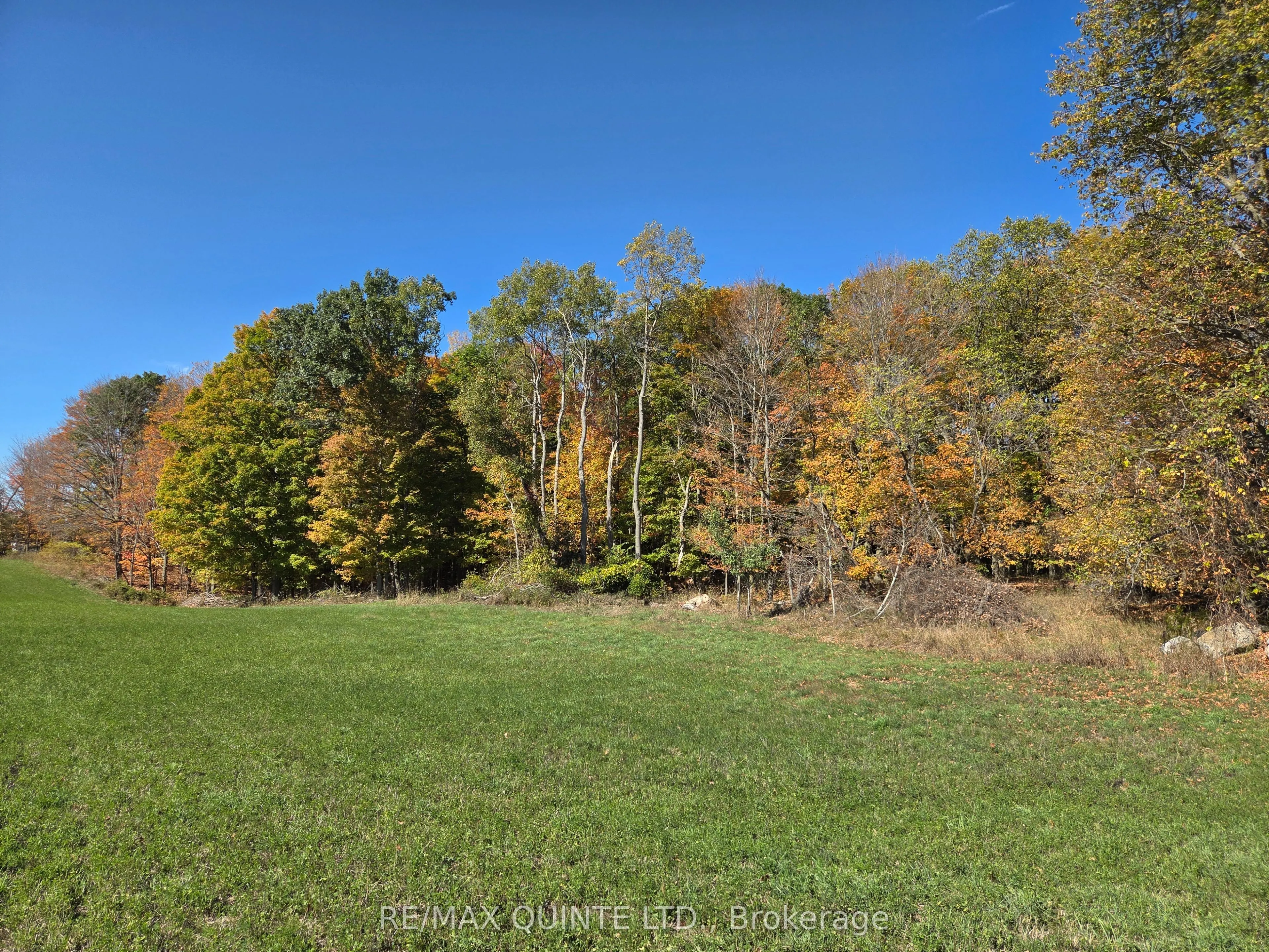 551 Marlbank Road