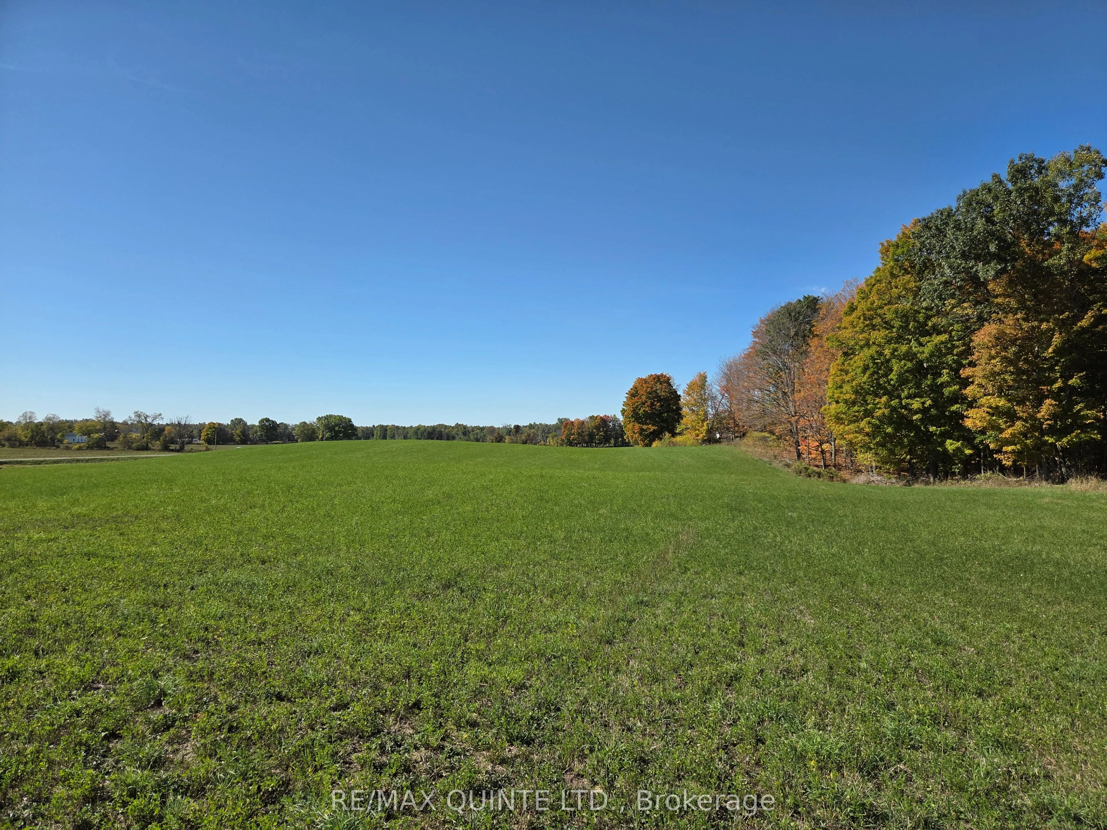 551 Marlbank Road