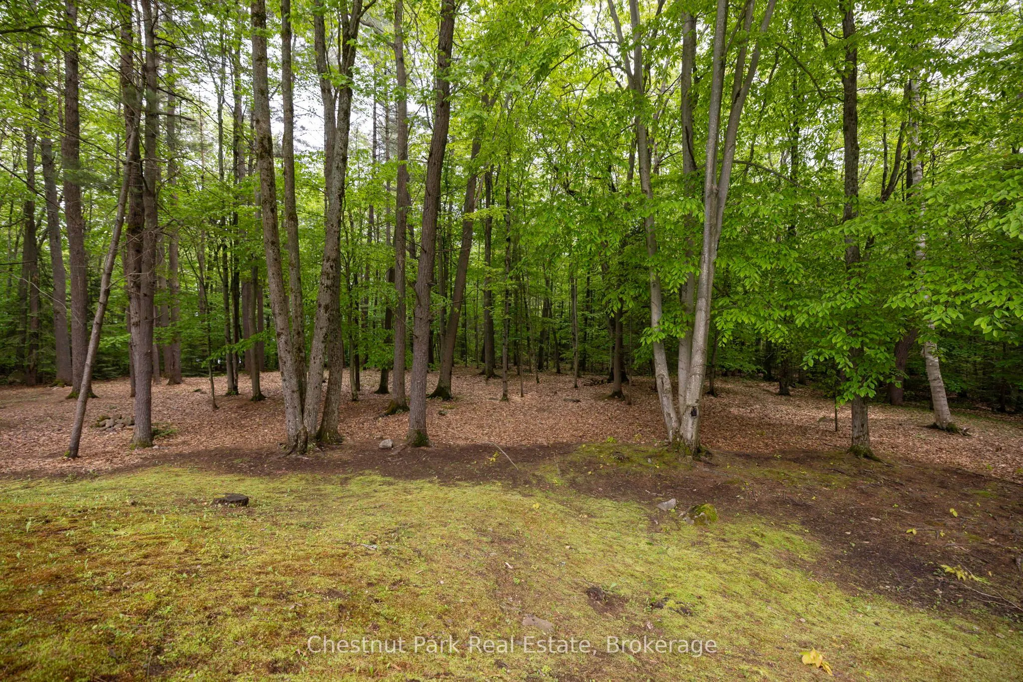 3711 Brunel Road