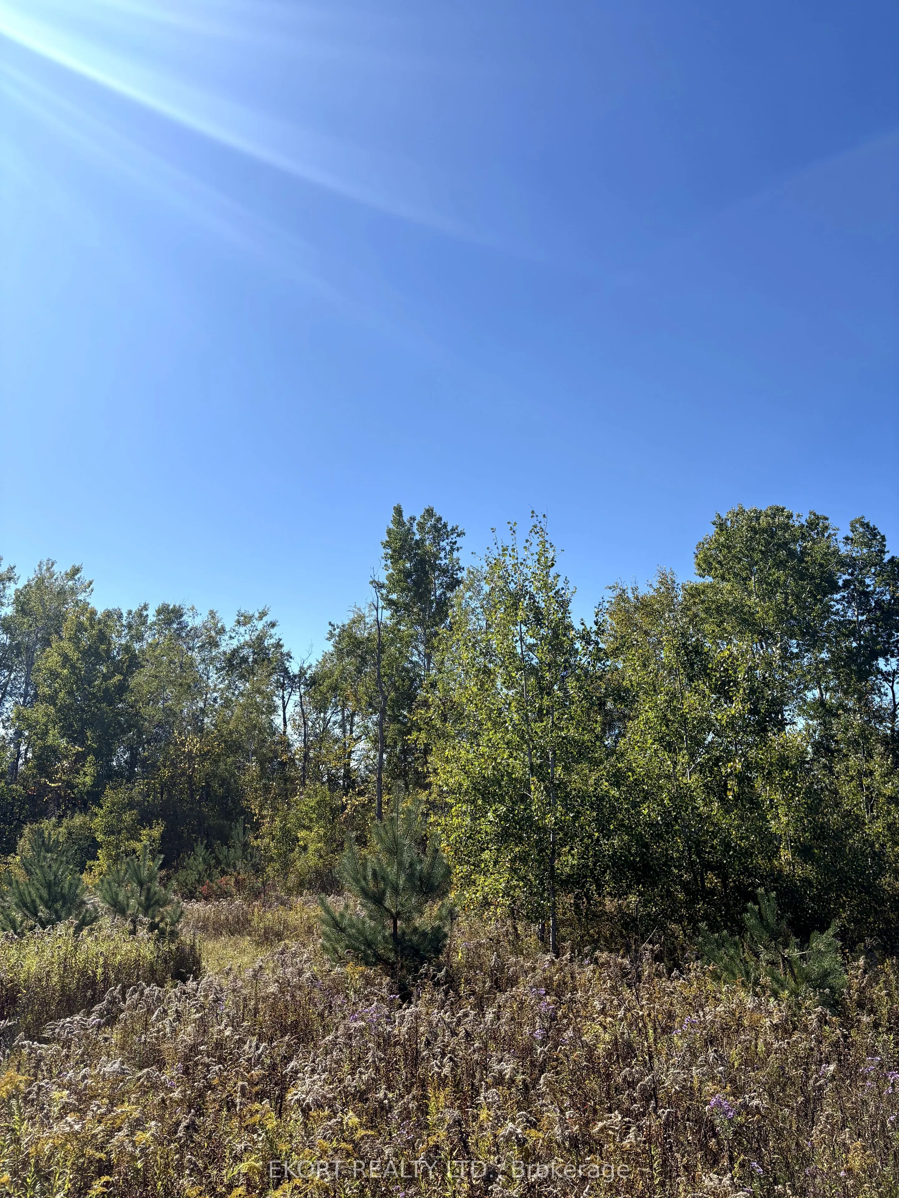 309 Vanderwater Road