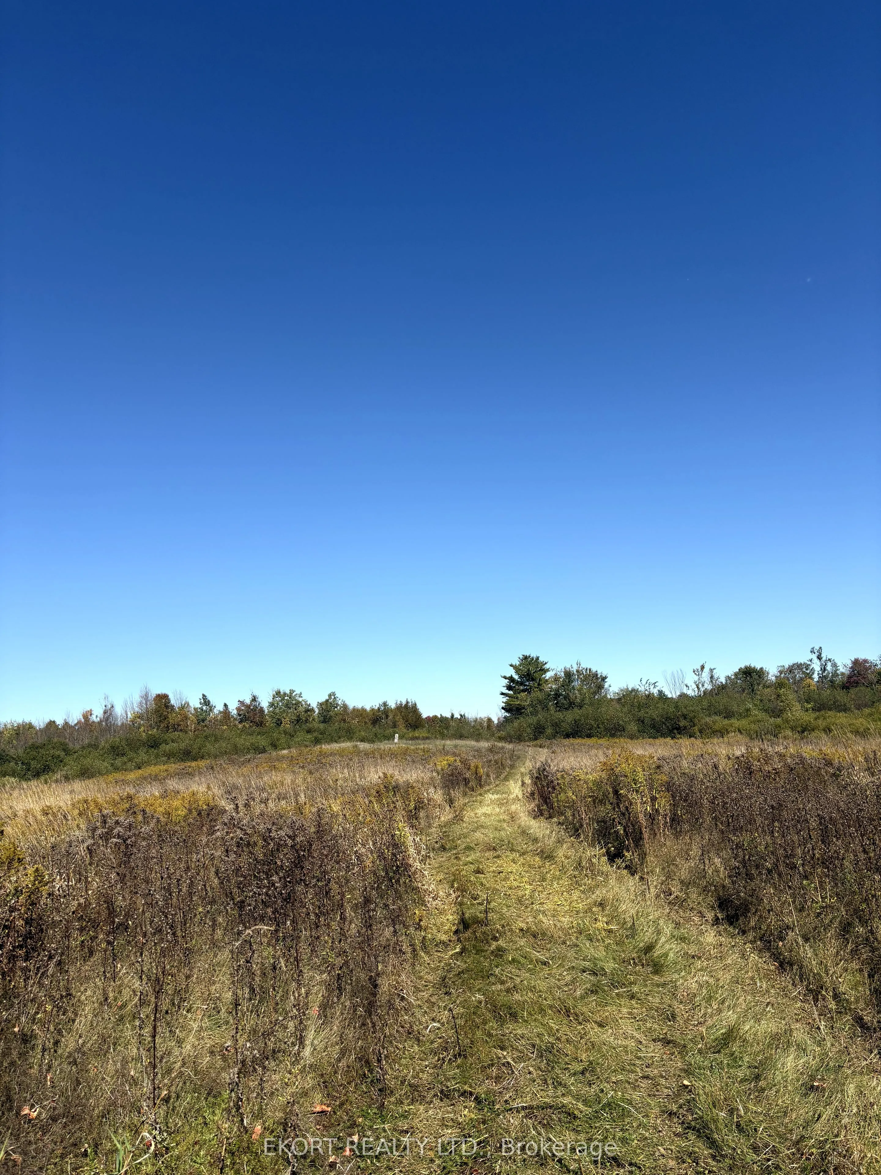309 Vanderwater Road