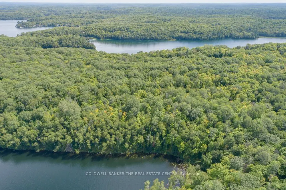 800 Jeffrey Lake Road
