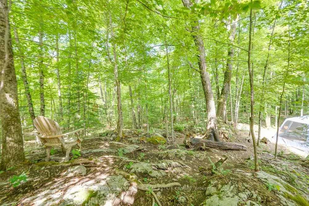 800 Jeffrey Lake Road