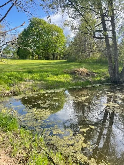 99 McBay Road
