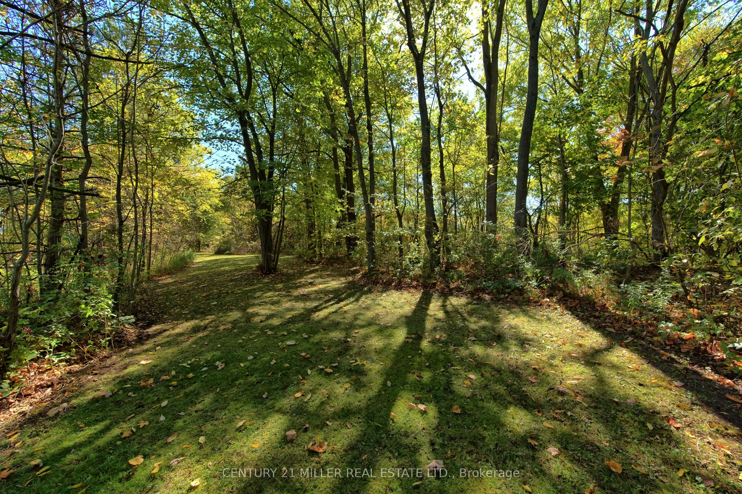 99 McBay Road