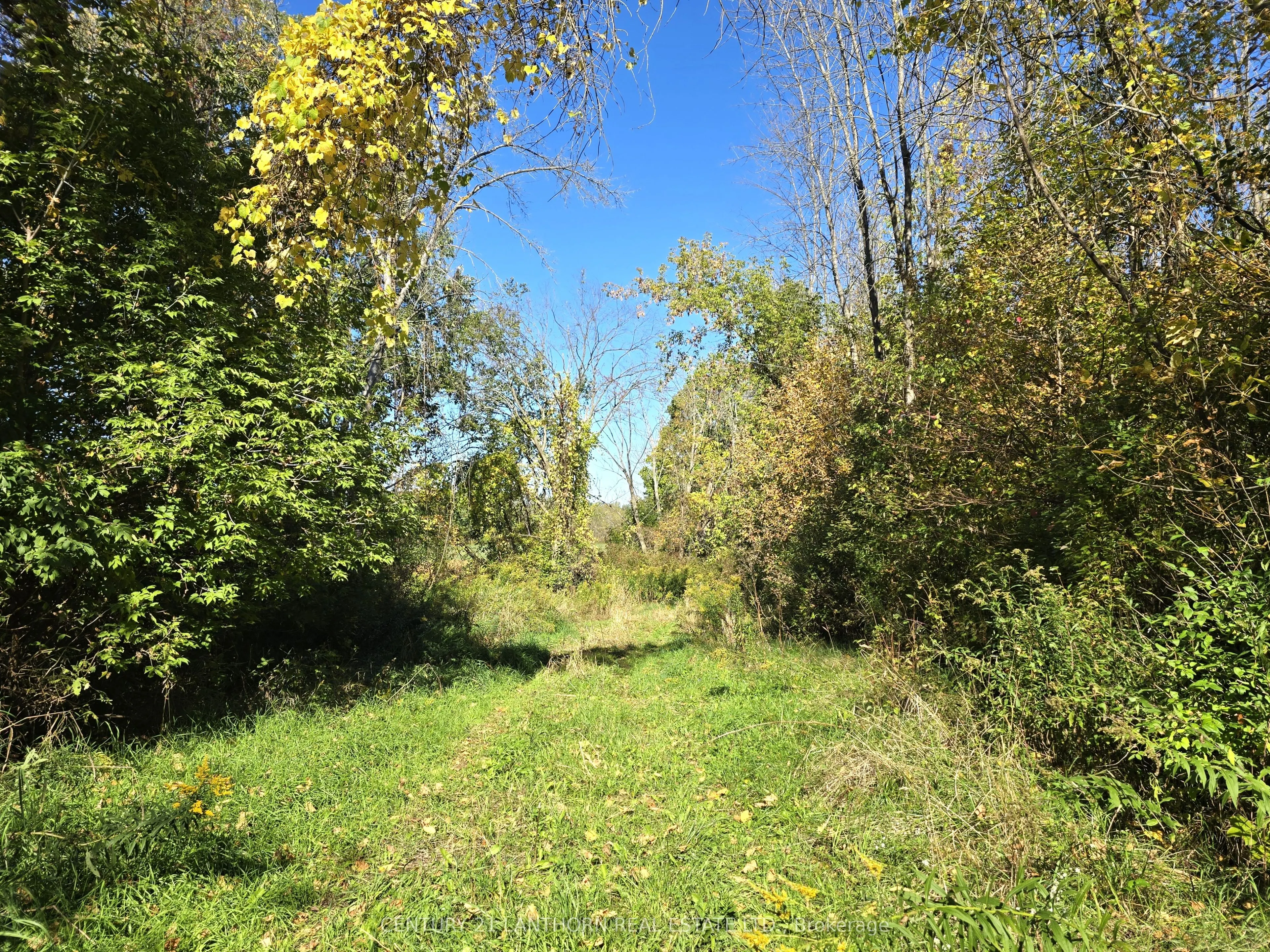 242 River Valley Road