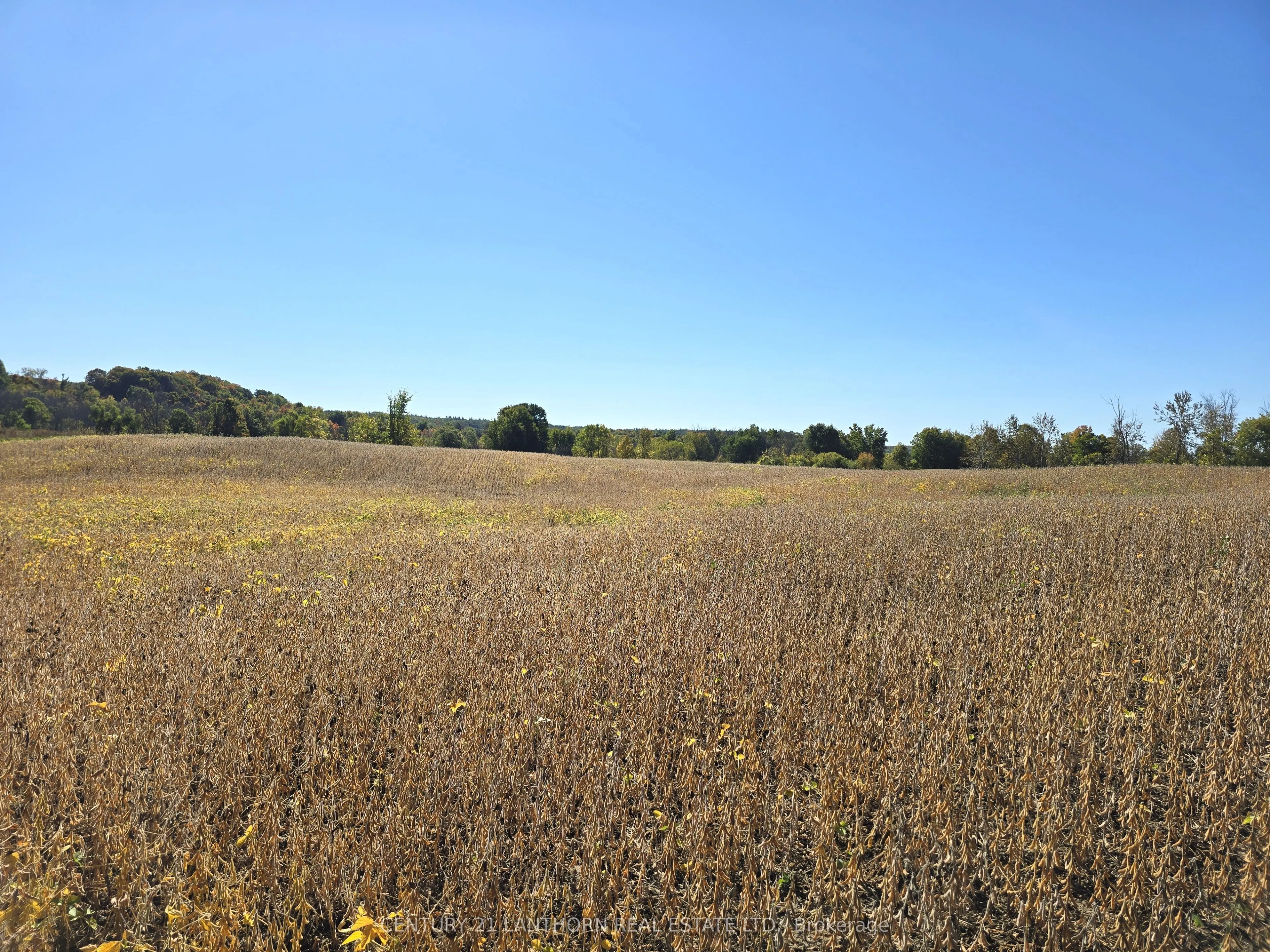 242 River Valley Road
