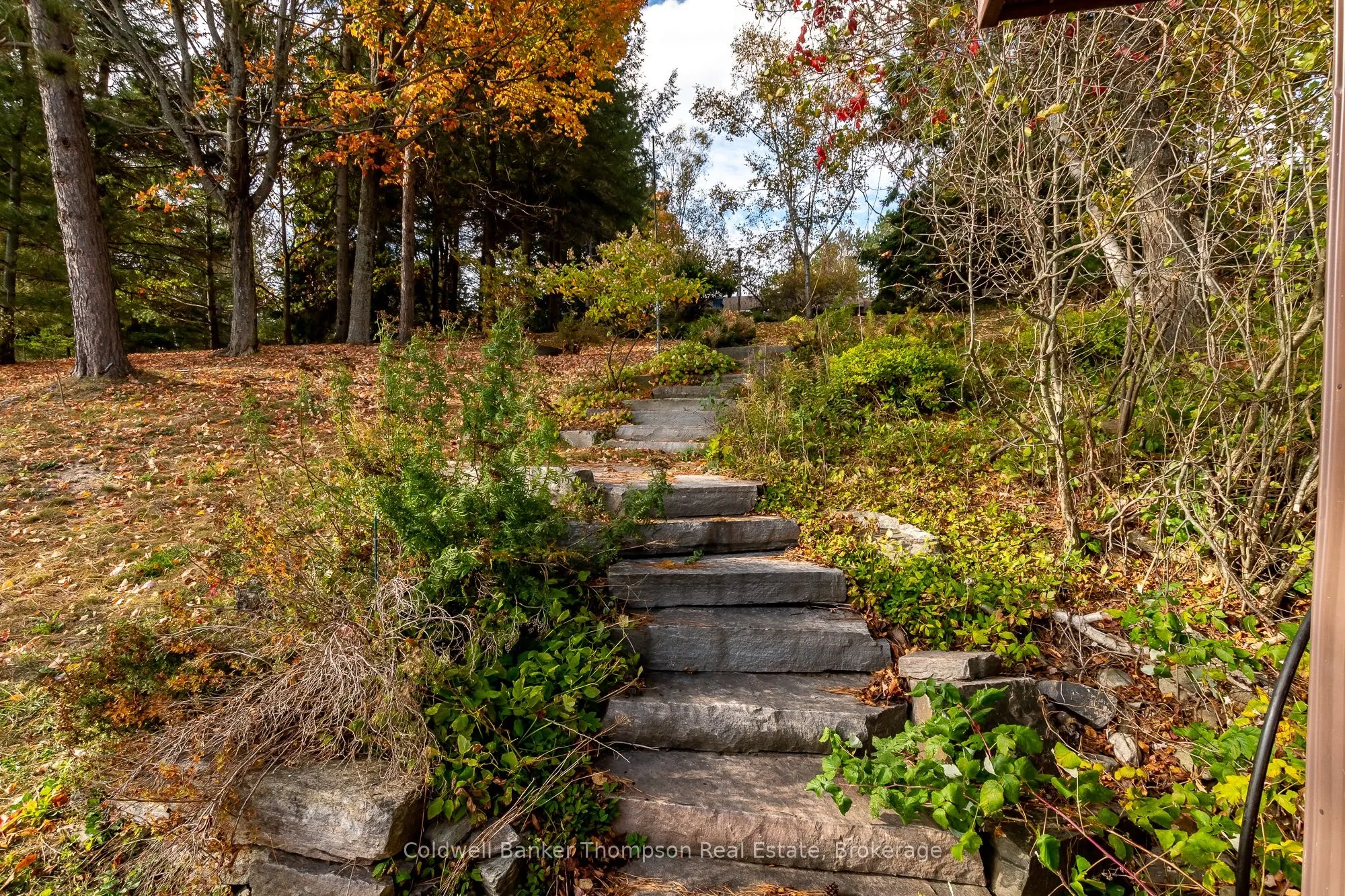 281 Echo Bay Road
