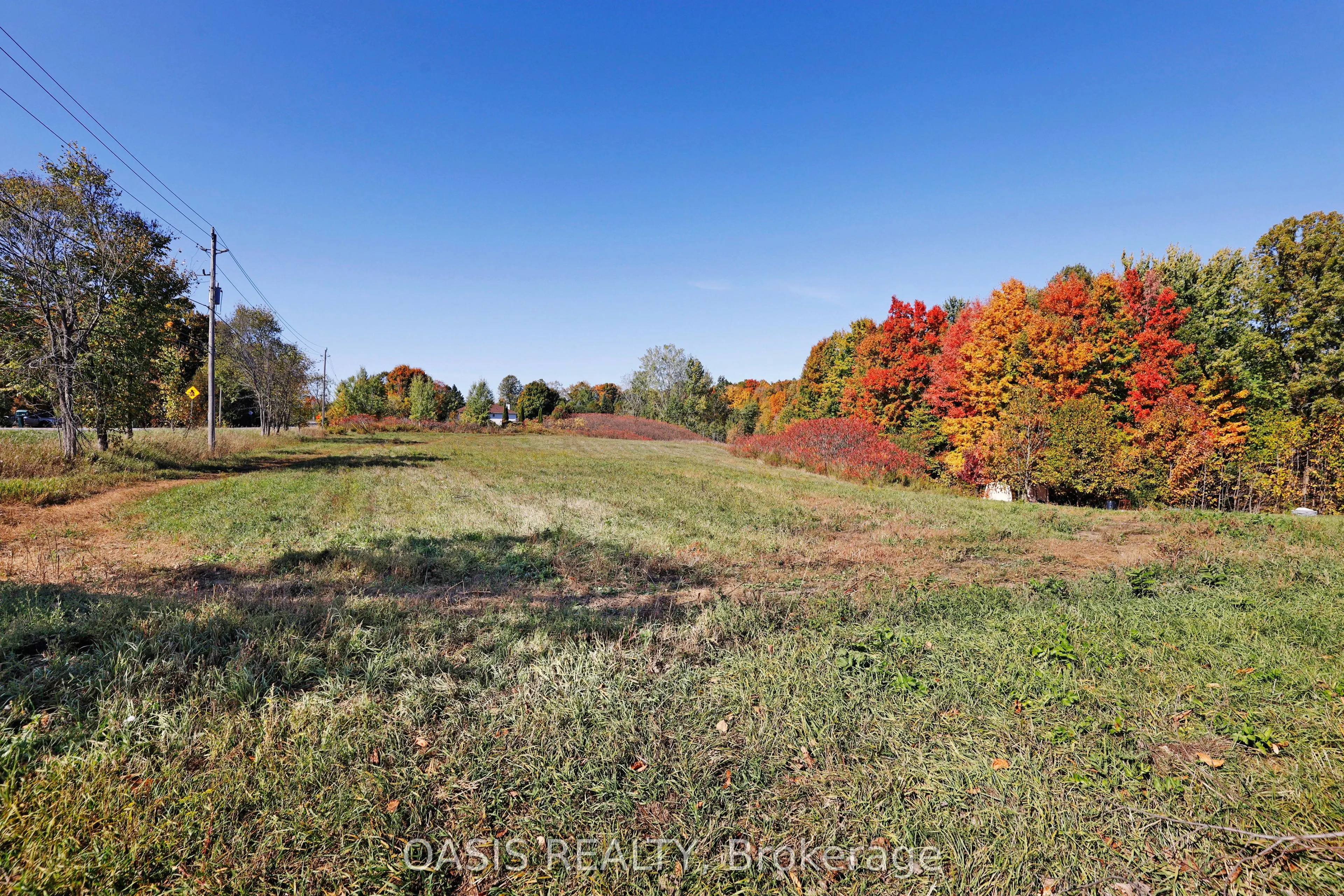 2993 Wilhaven Drive