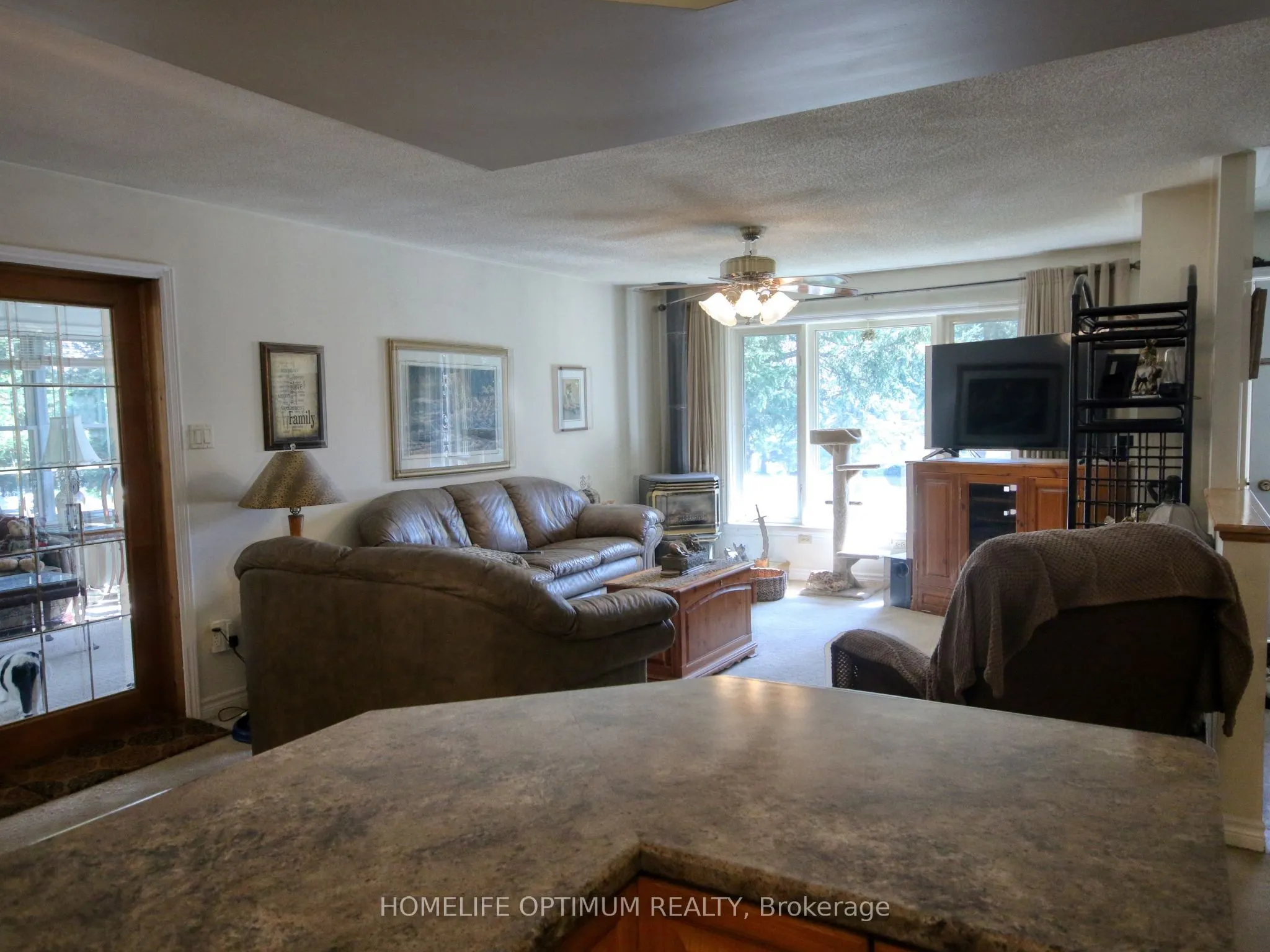 228 Pirates Glen Drive