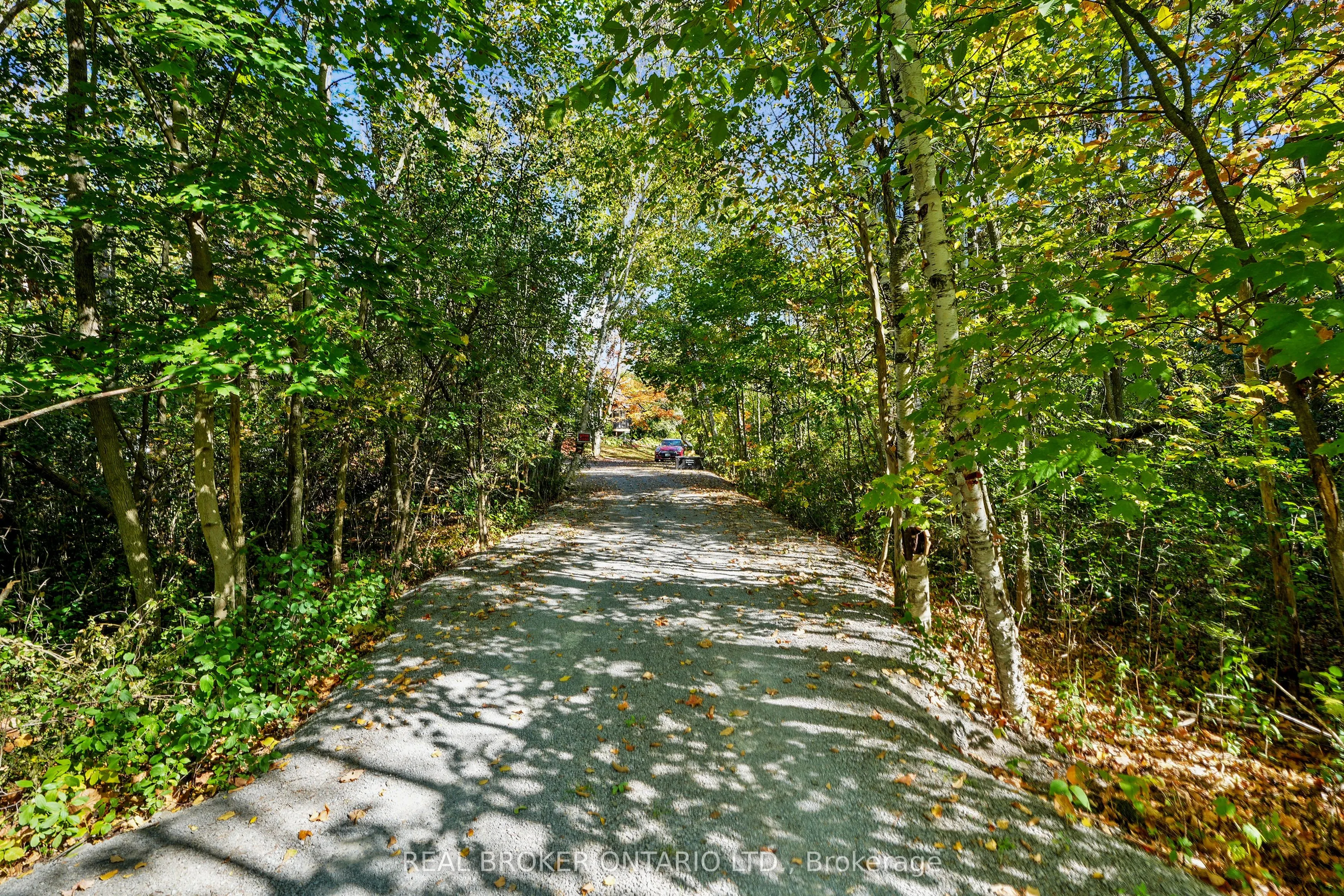 203 Bullis Road