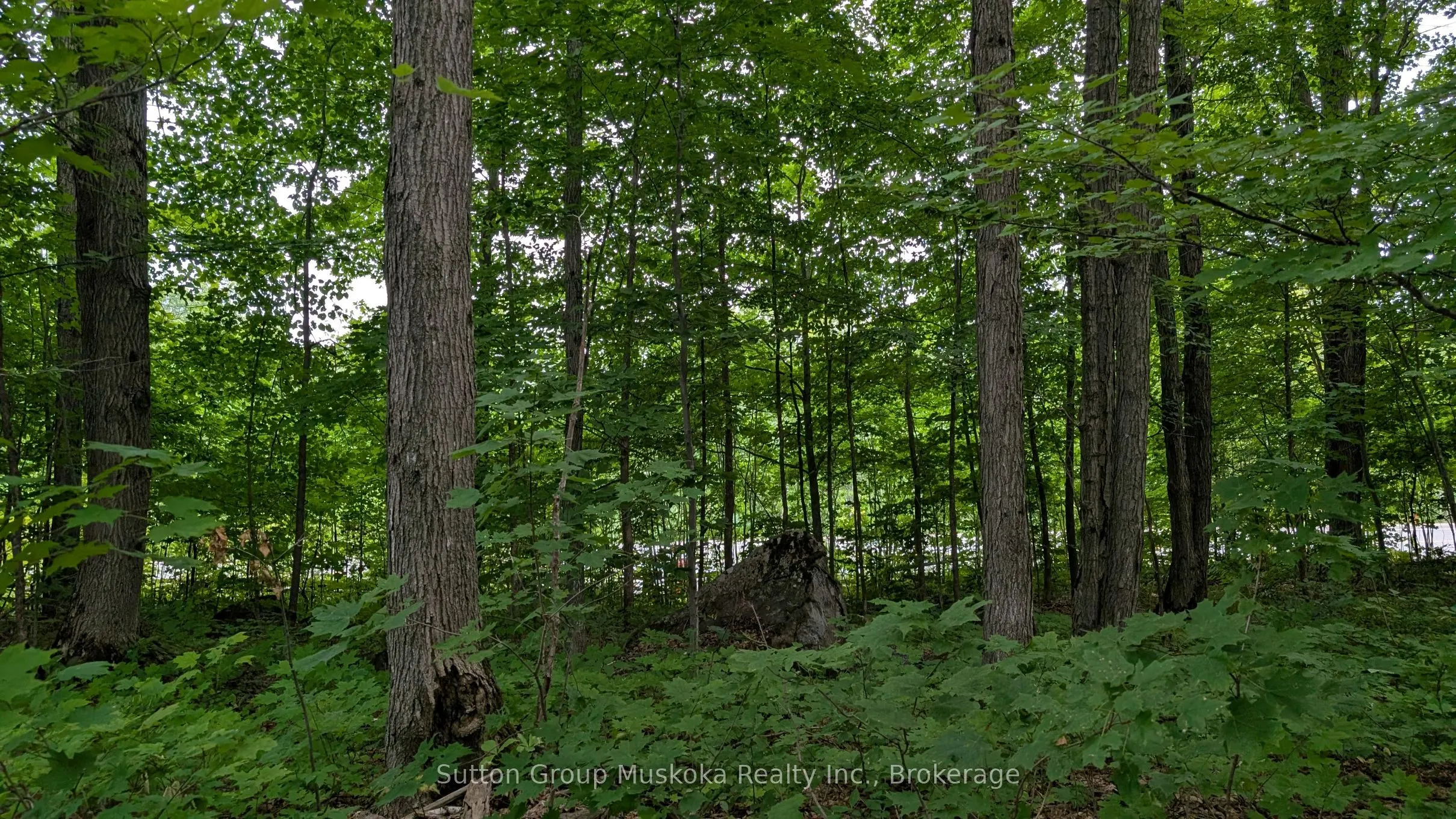 837 Aspdin Road