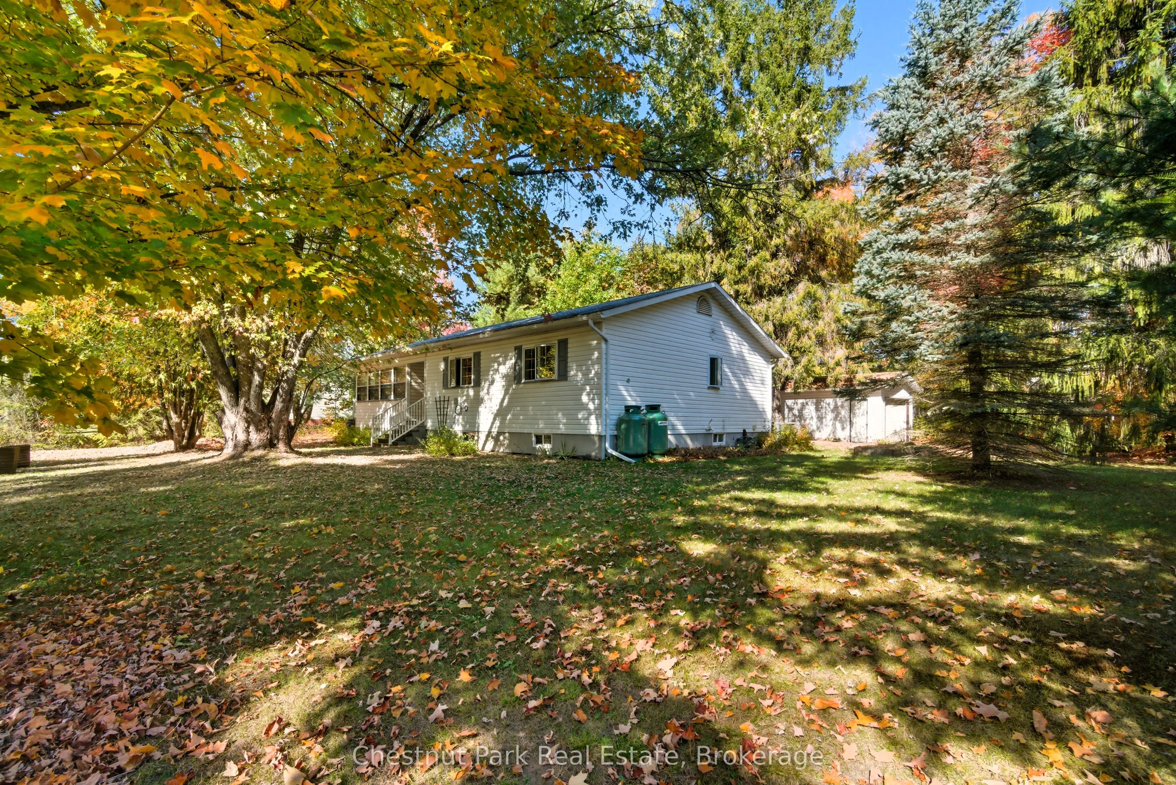 14 Dickie Street