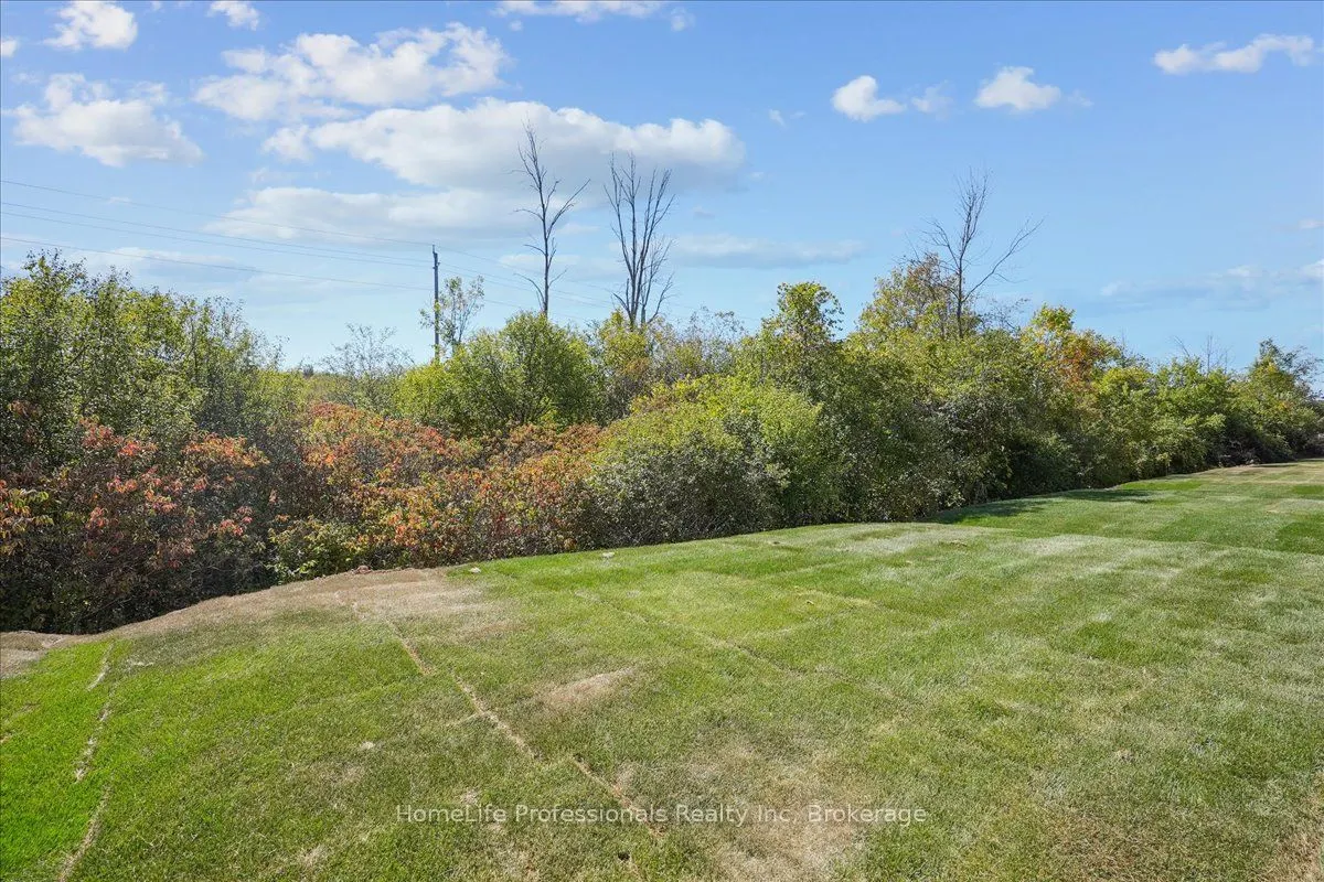 56 WILSON Drive
