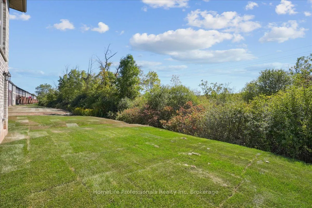 56 WILSON Drive