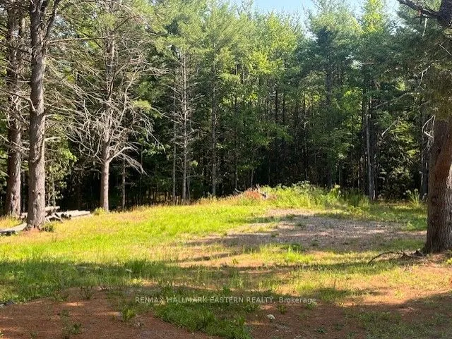 942 Balmer Road