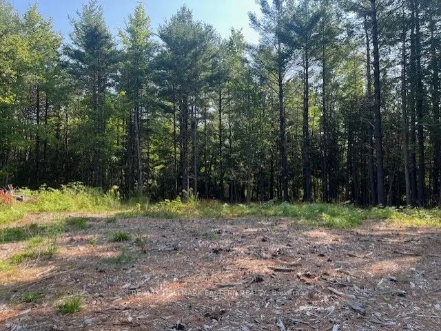 942 Balmer Road