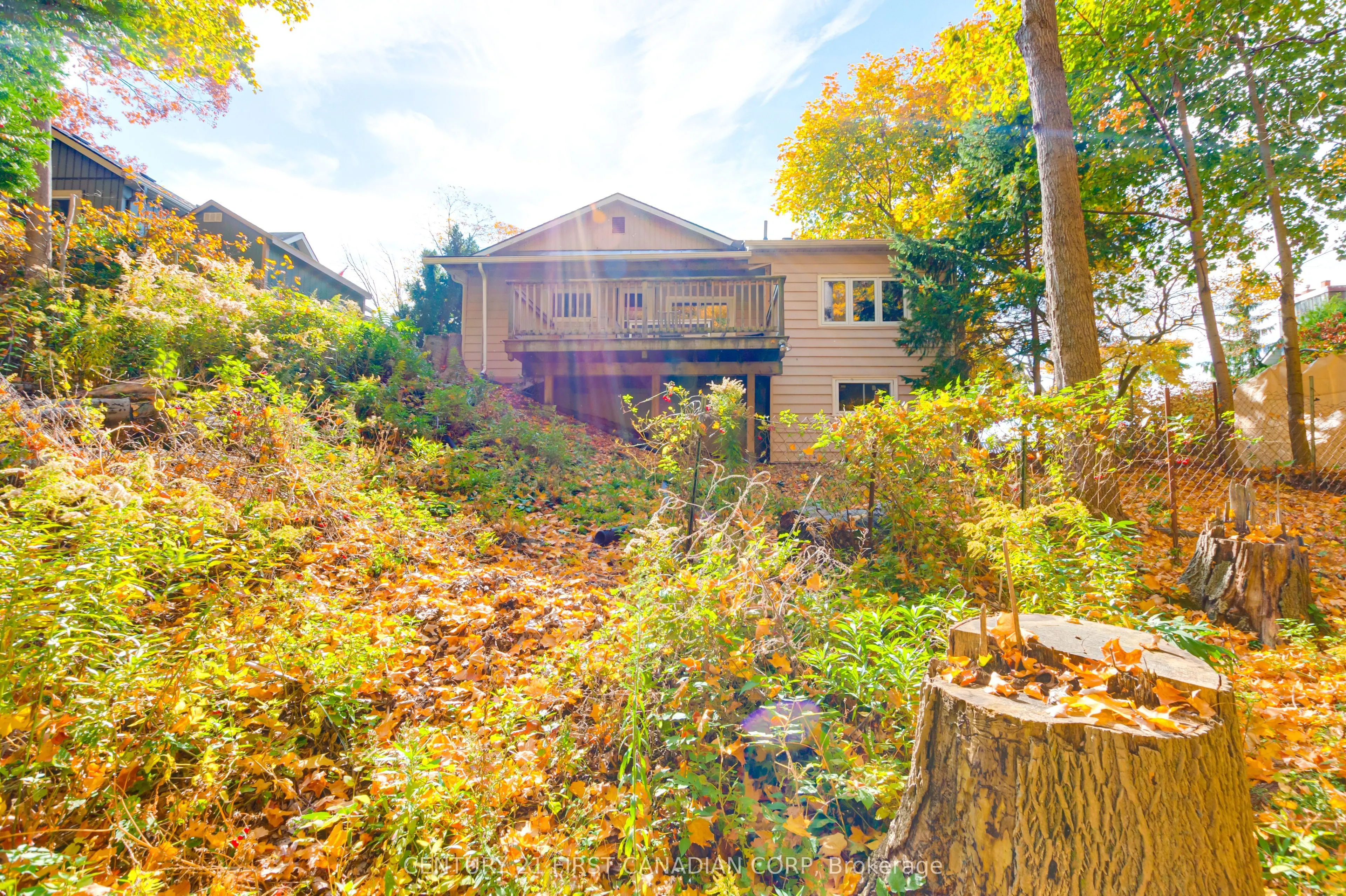 161 Brayside Street