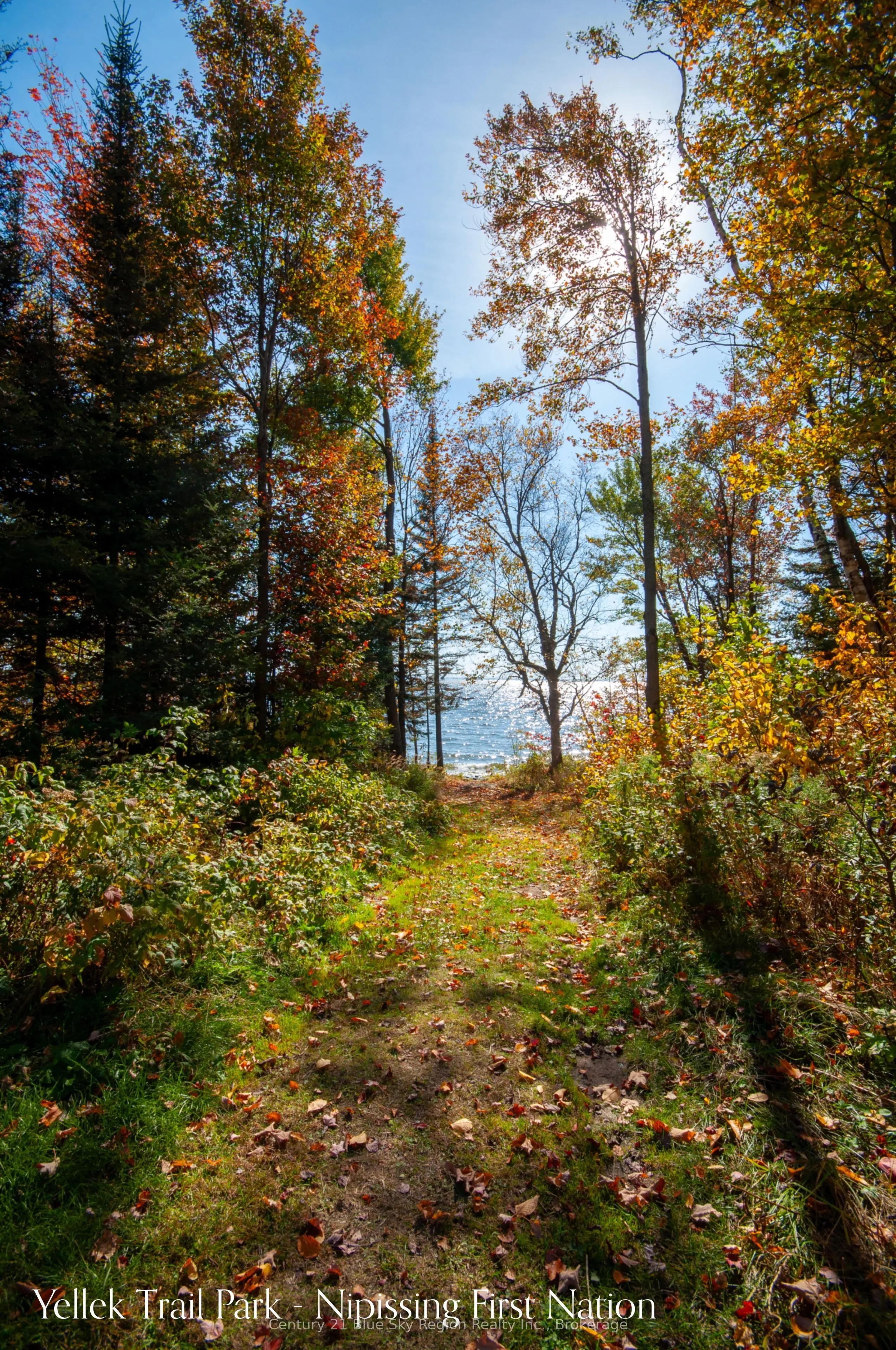 202 Yellek Trail