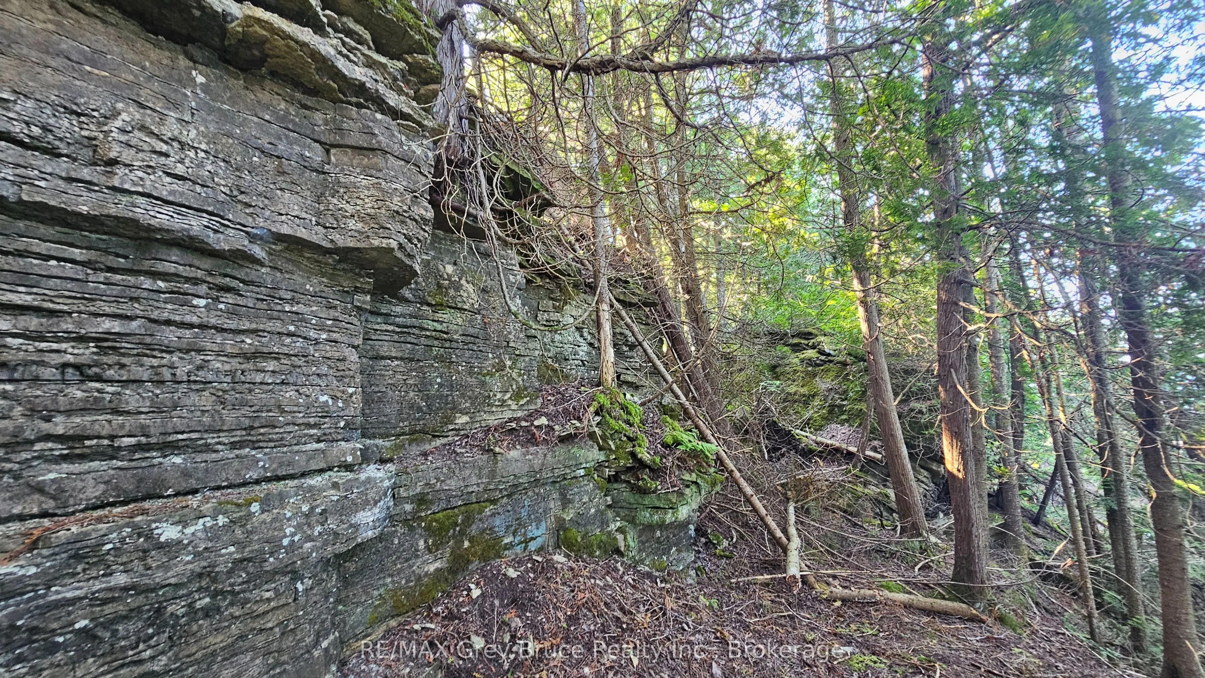 8 CARTER Road