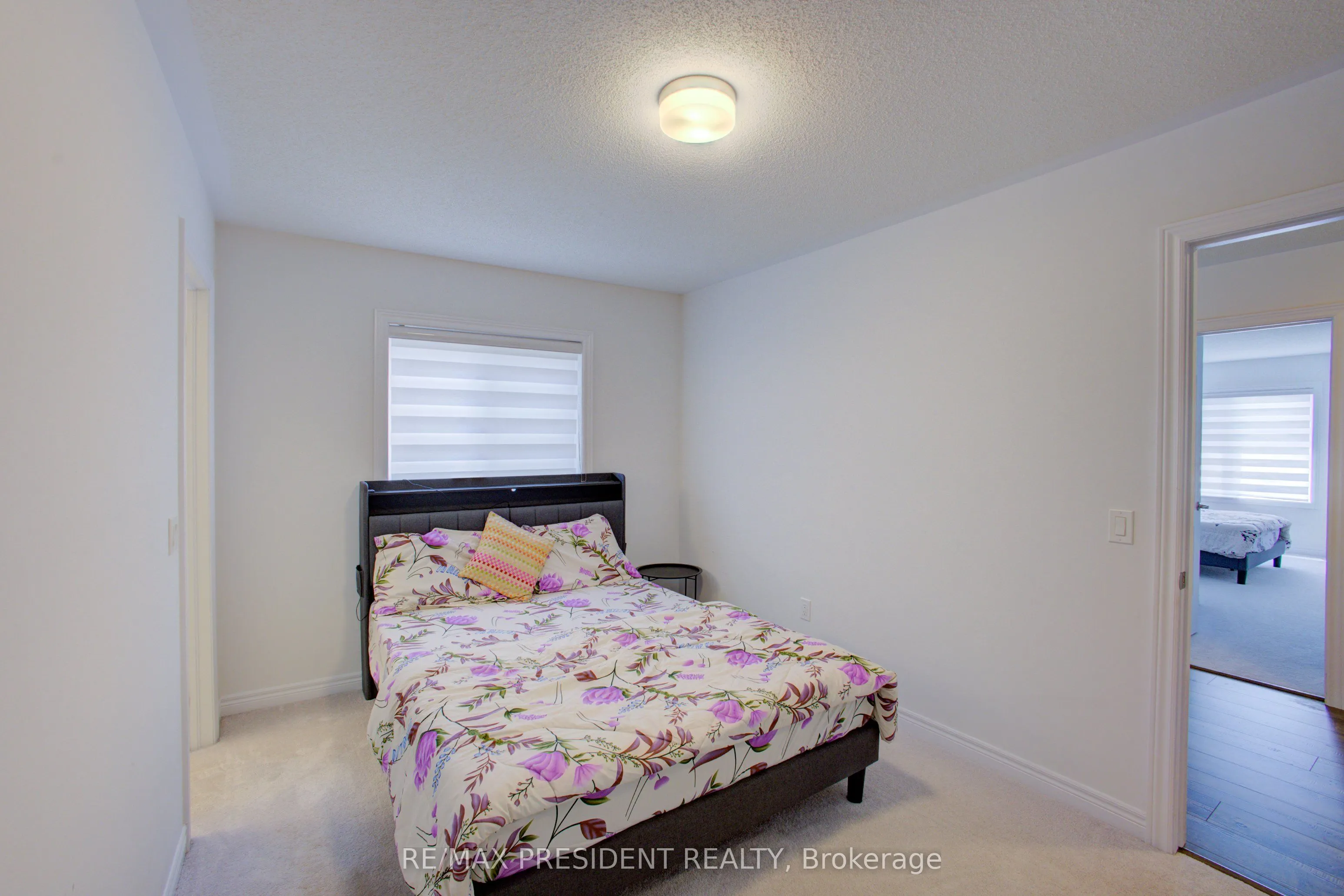 255 Rea Drive