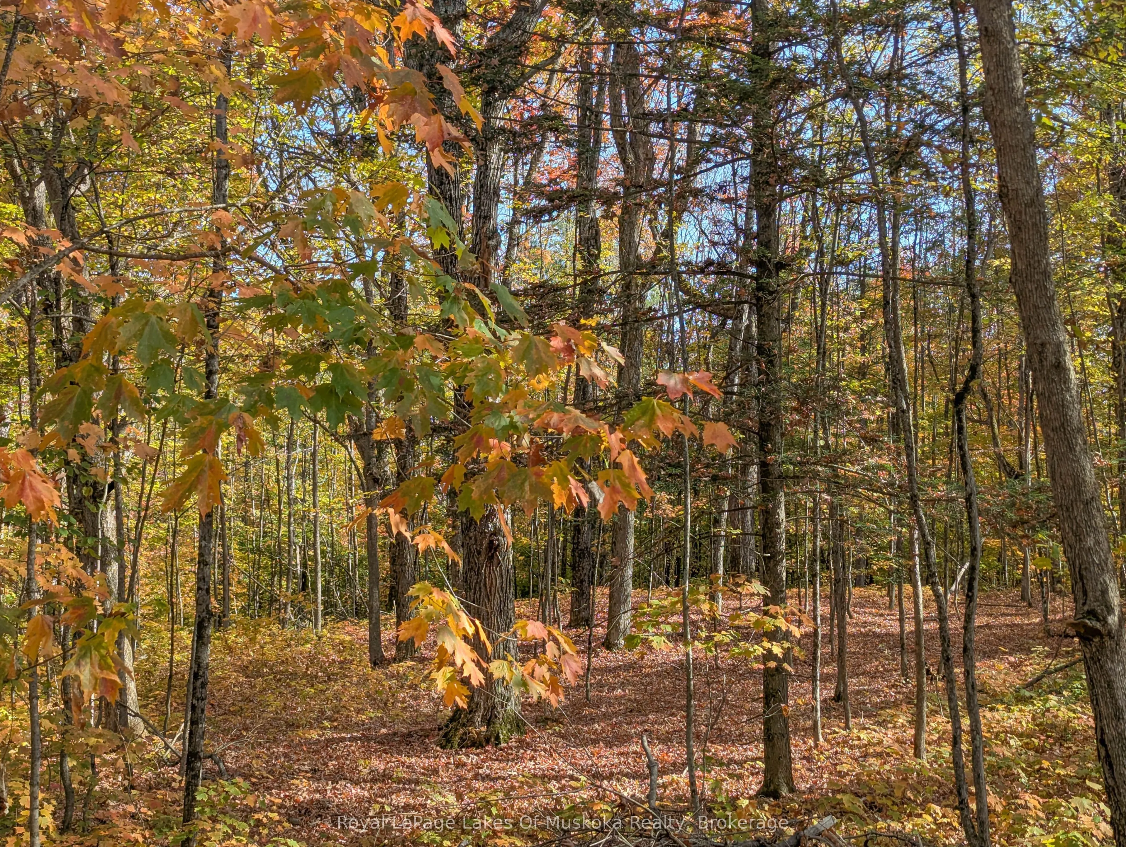1779 Muskoka Rd 118 Road W