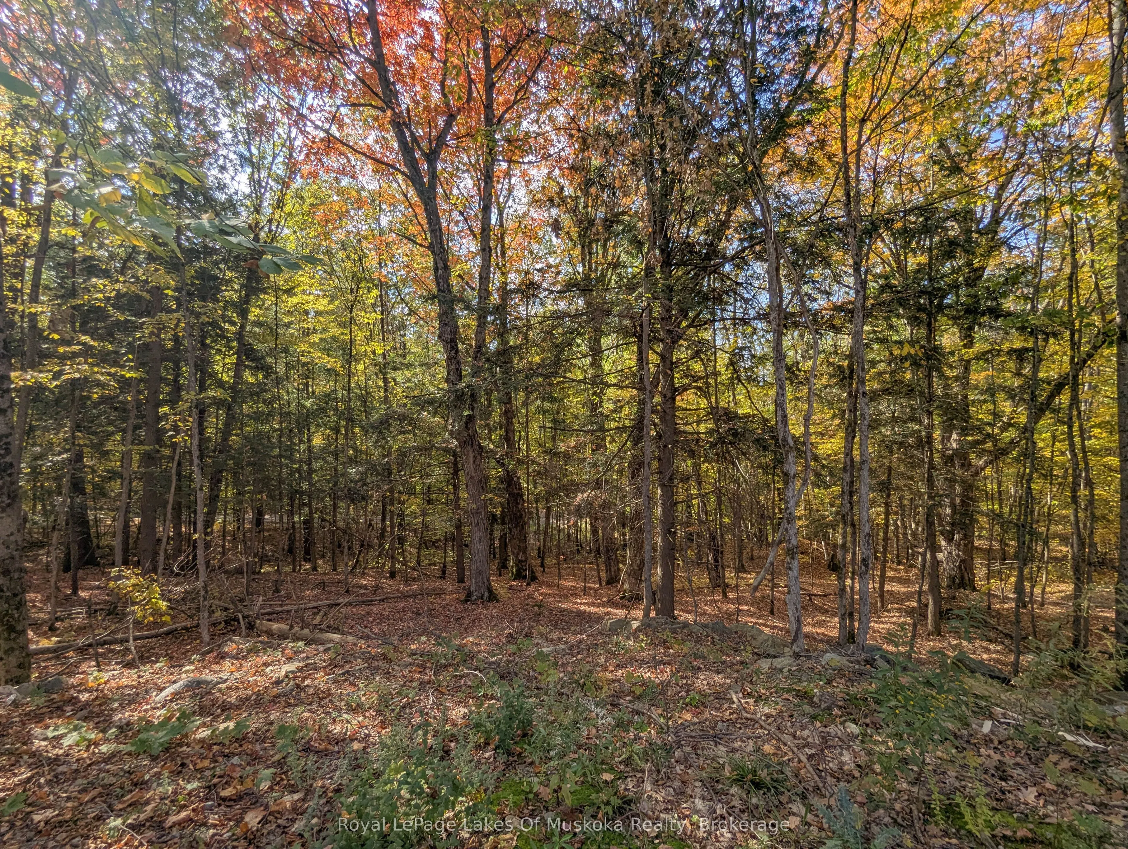 1779 Muskoka Rd 118 Road W