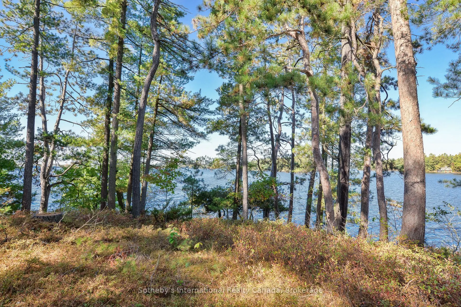 1326 Browning Island