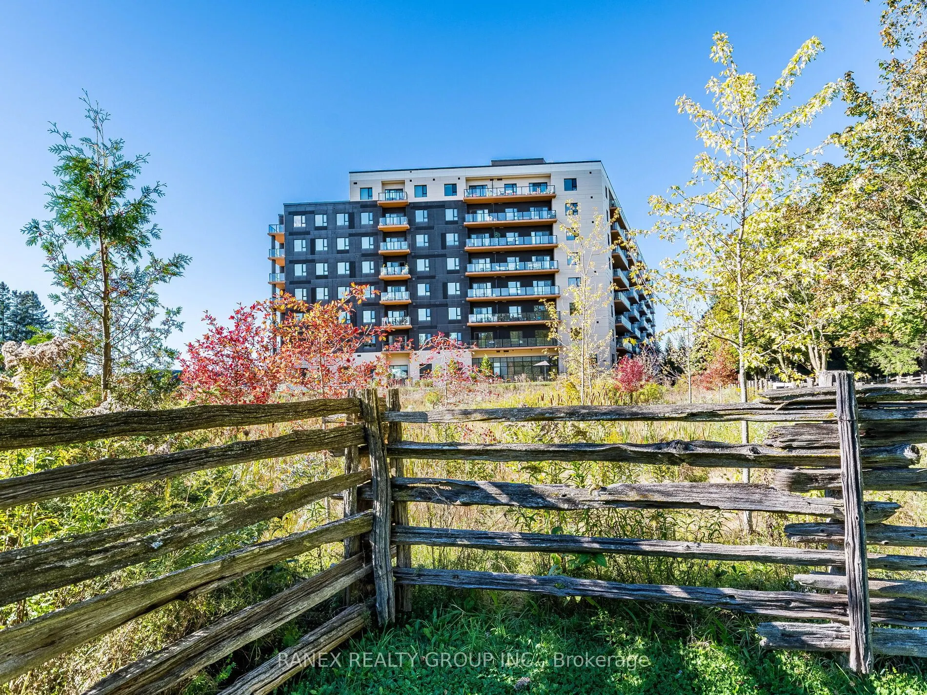 525 New Dundee Road, #215