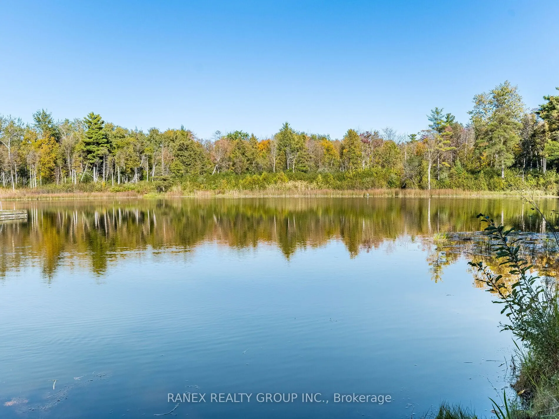 525 New Dundee Road, #215