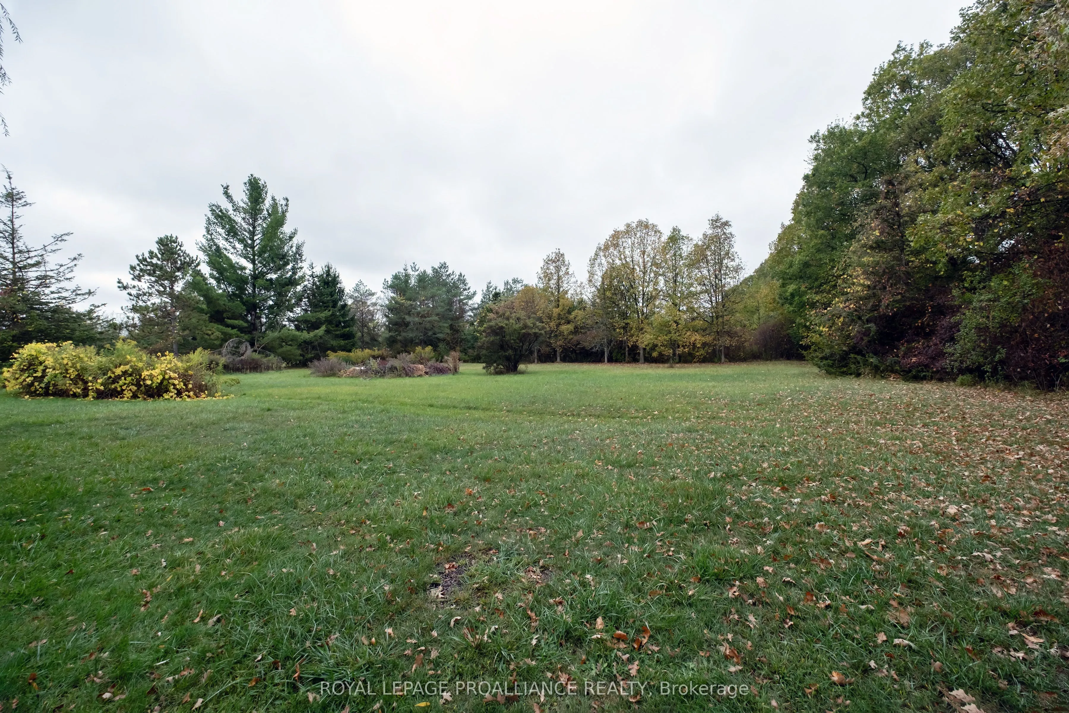 208 Ritz Road