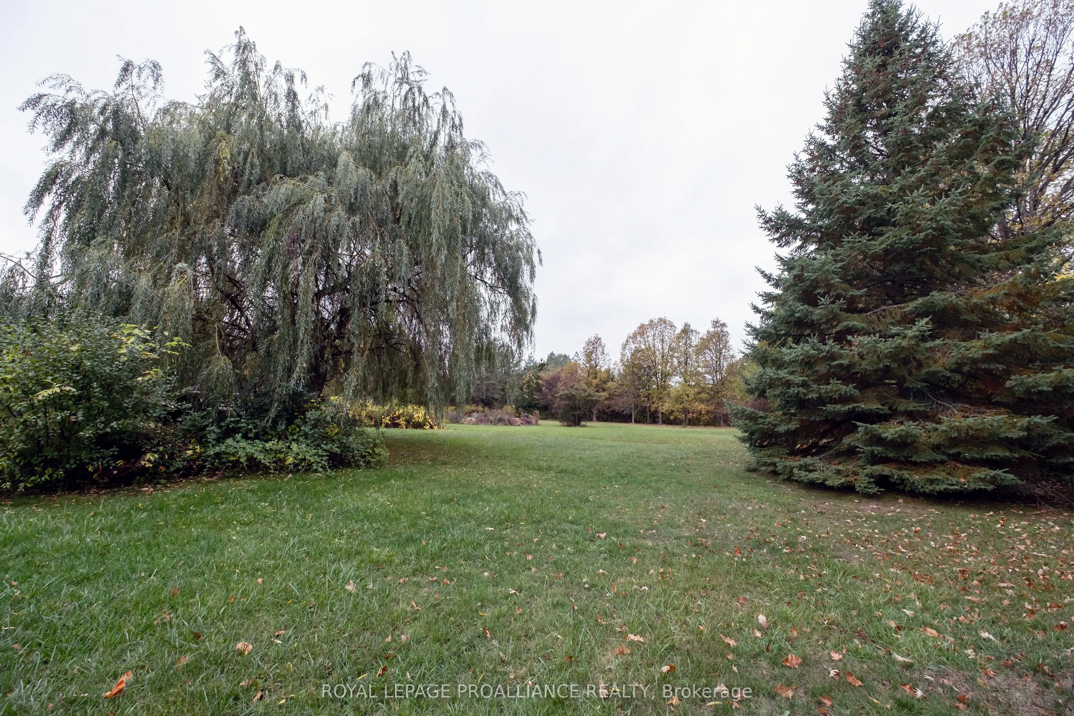 208 Ritz Road