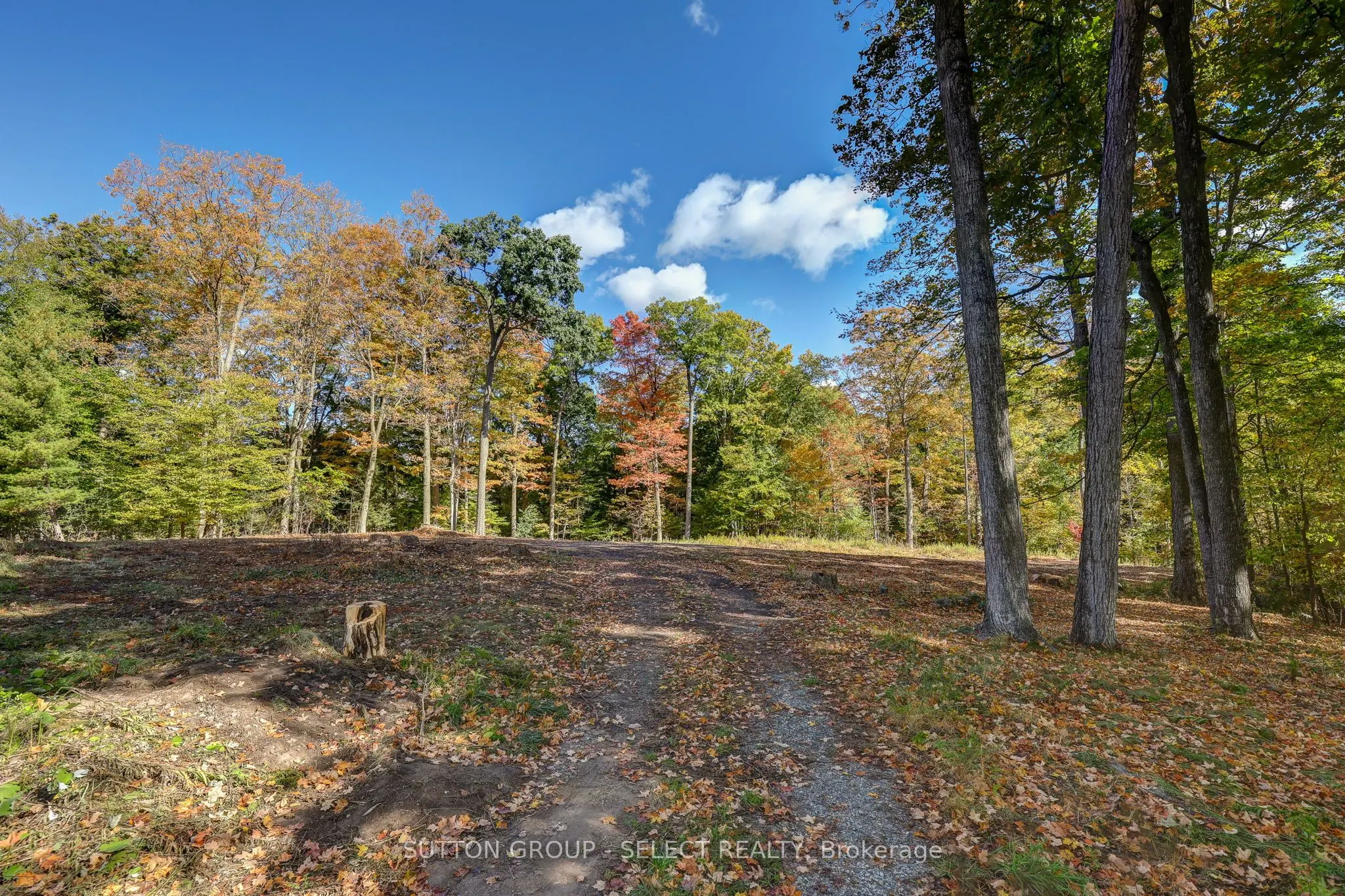 2564 Woodhull Road