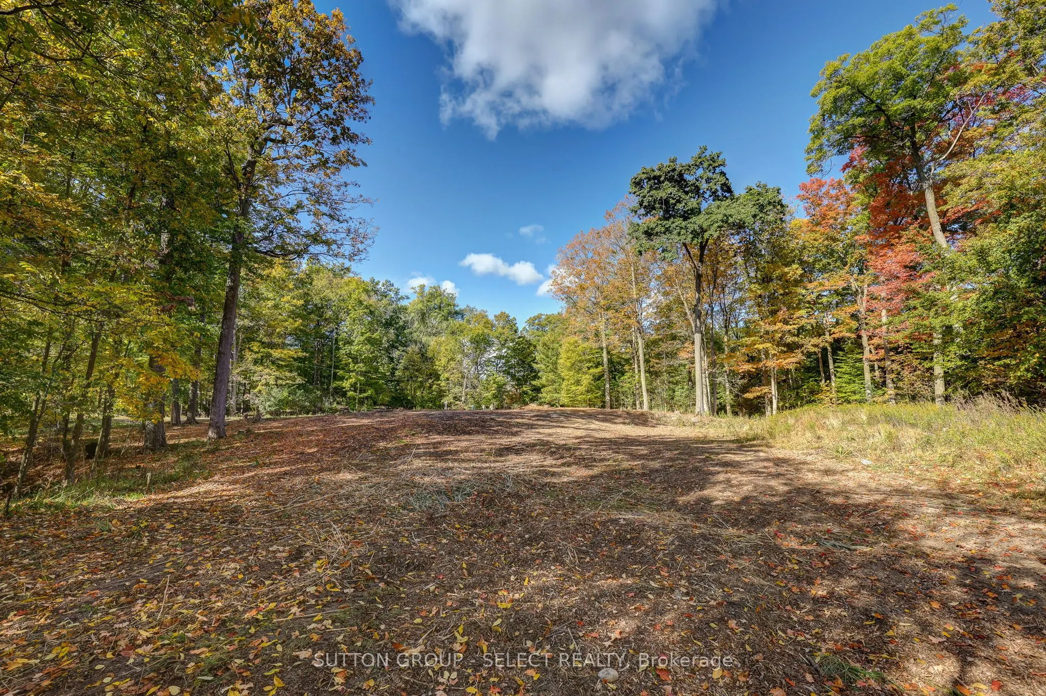 2564 Woodhull Road