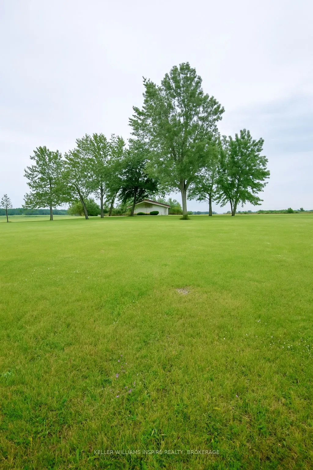 2264 Regional Road 55