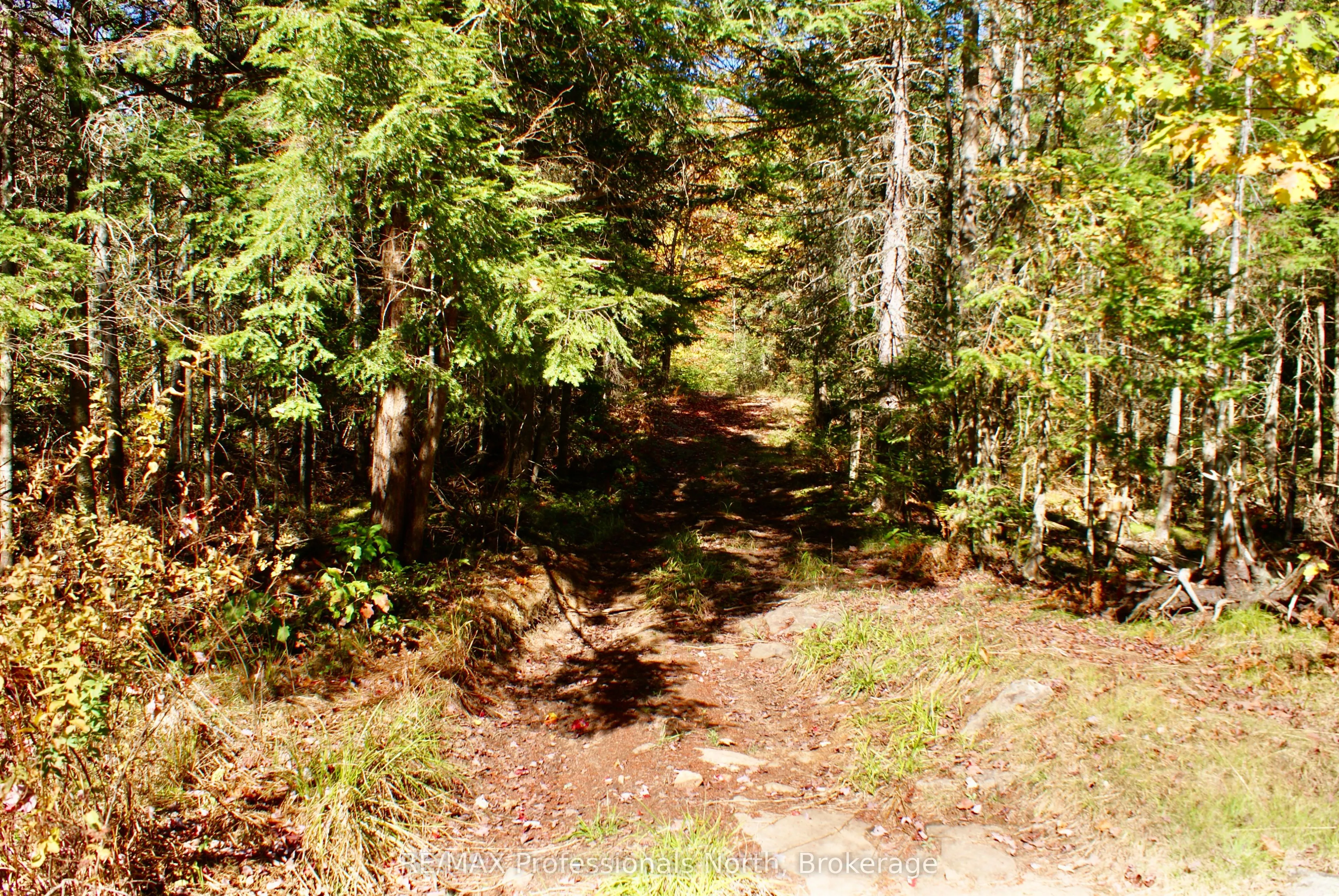 20 Mudcat Road