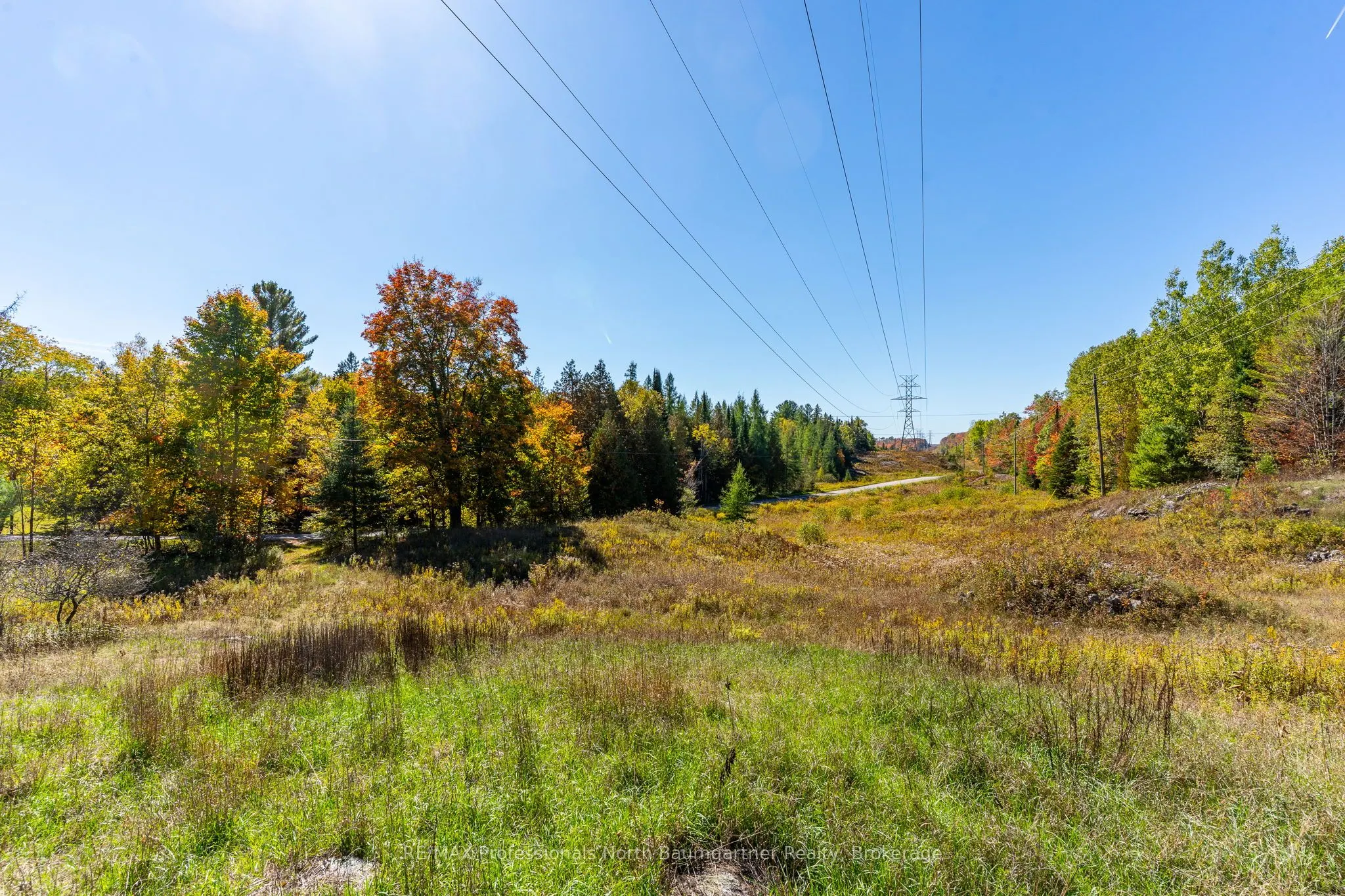 1297 Bethel Road
