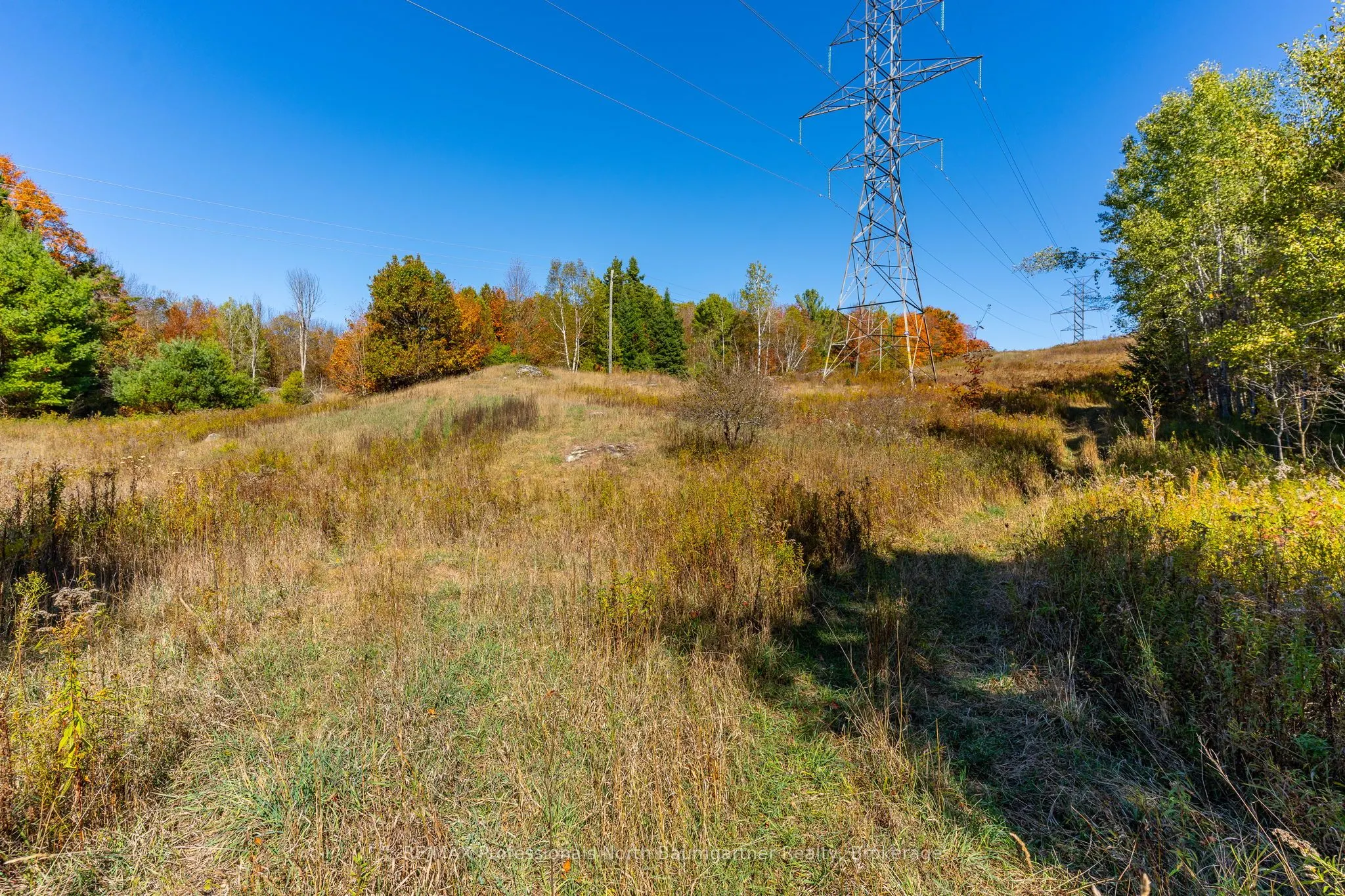 1297 Bethel Road