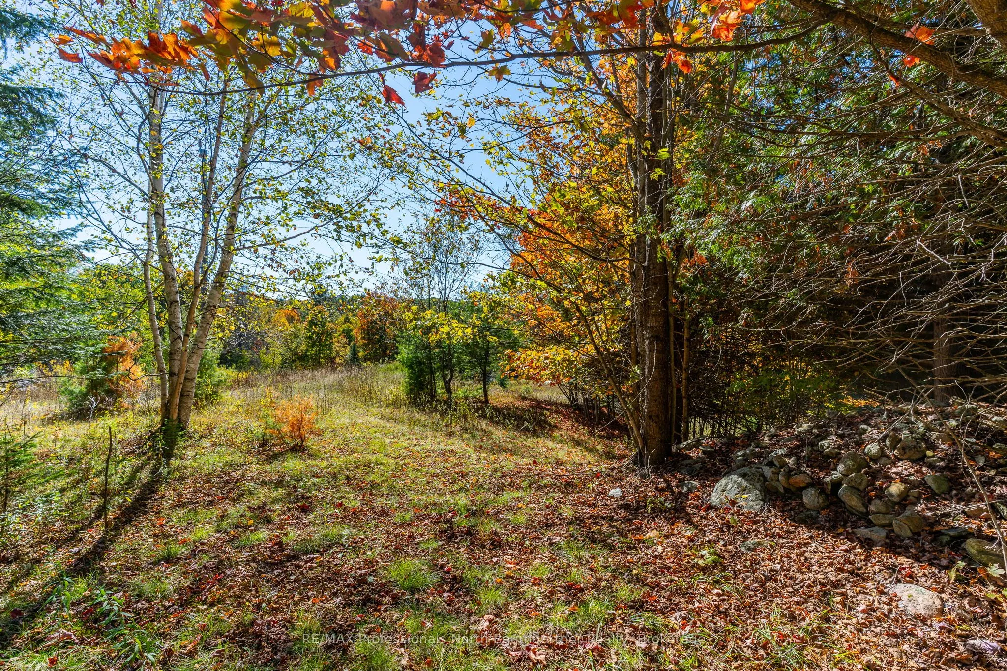 1297 Bethel Road