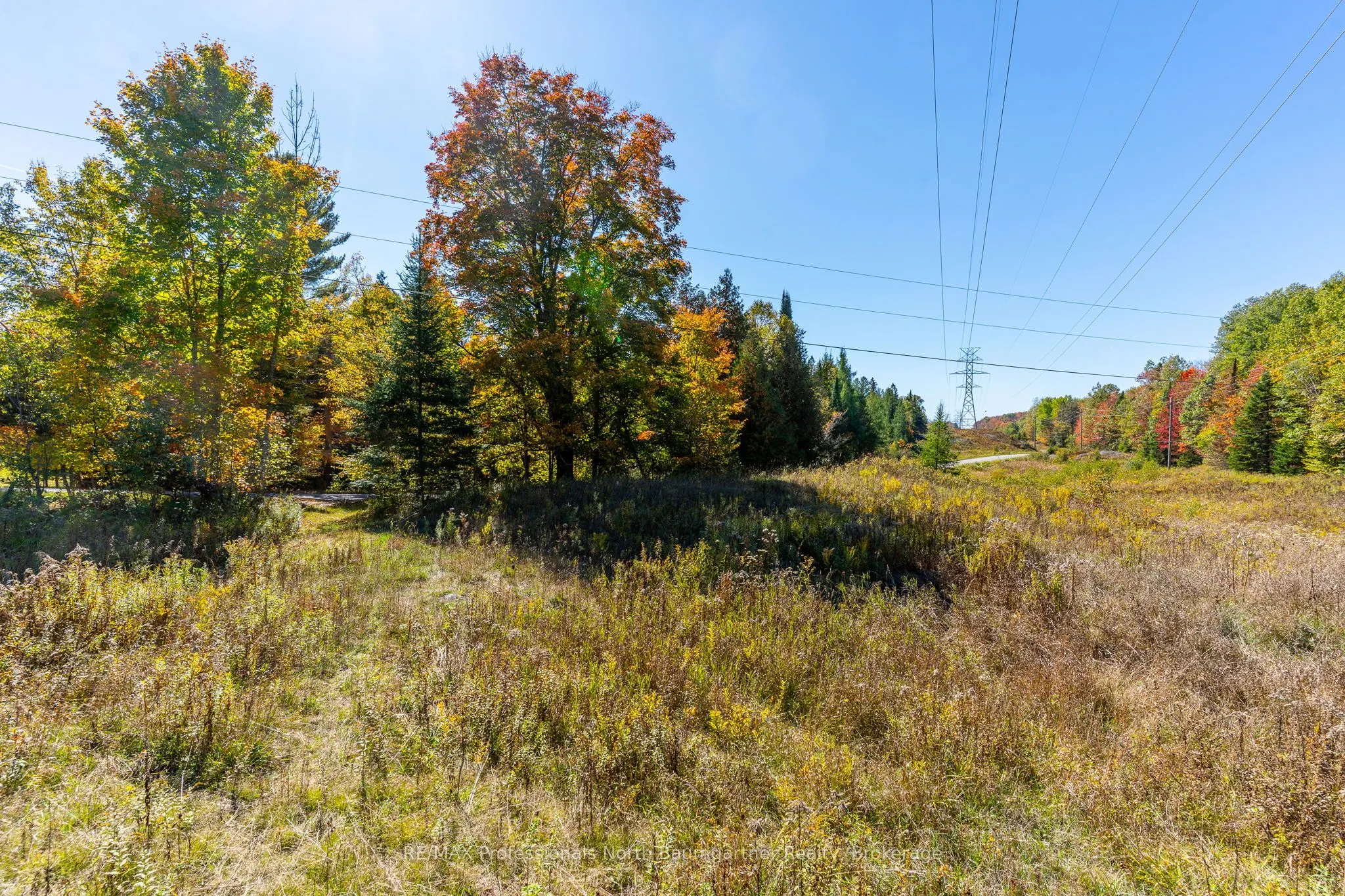 1297 Bethel Road