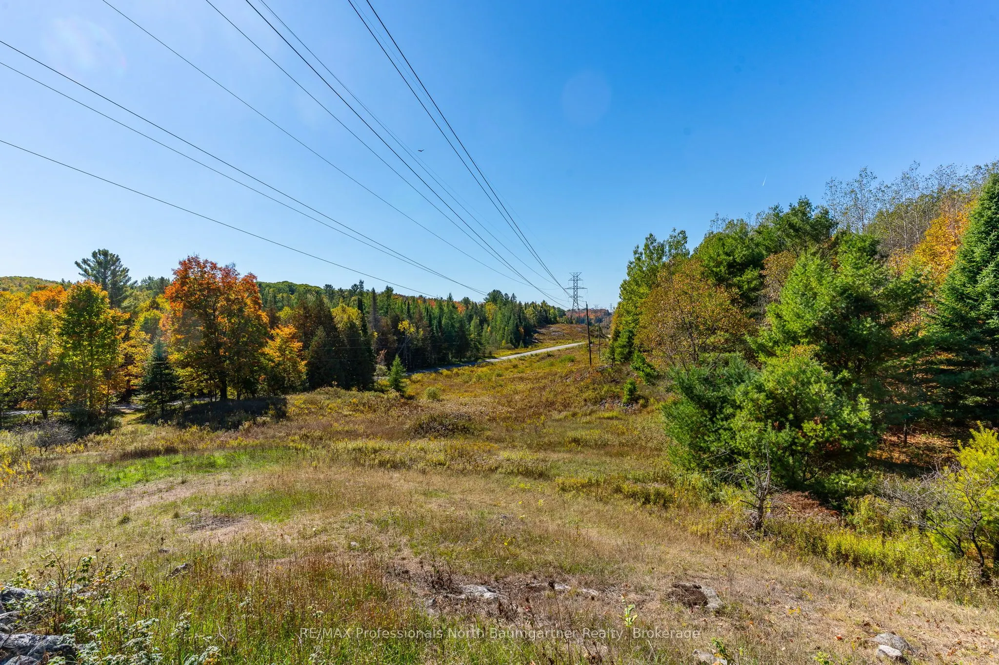 1297 Bethel Road
