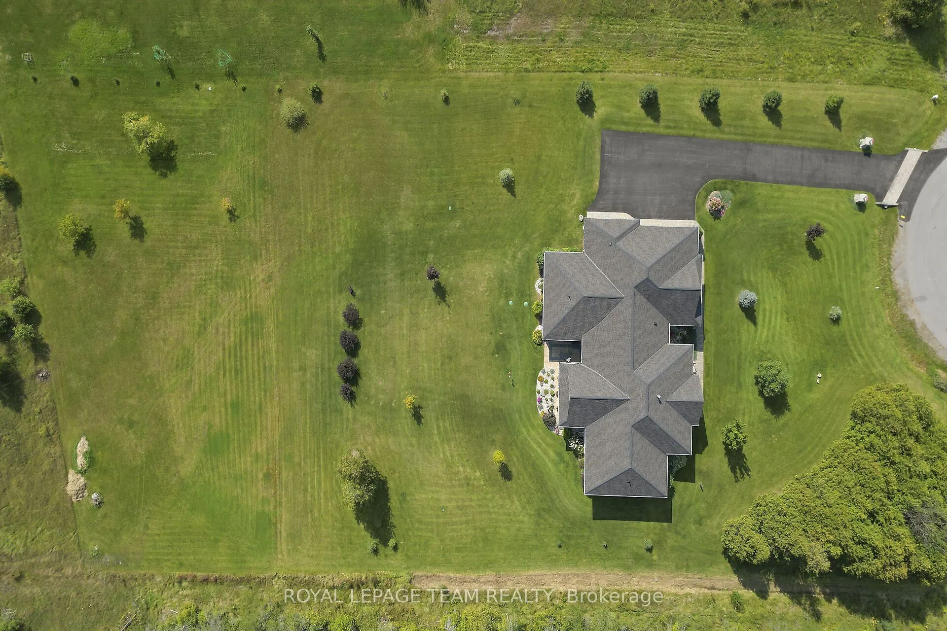 217 Shamus Way